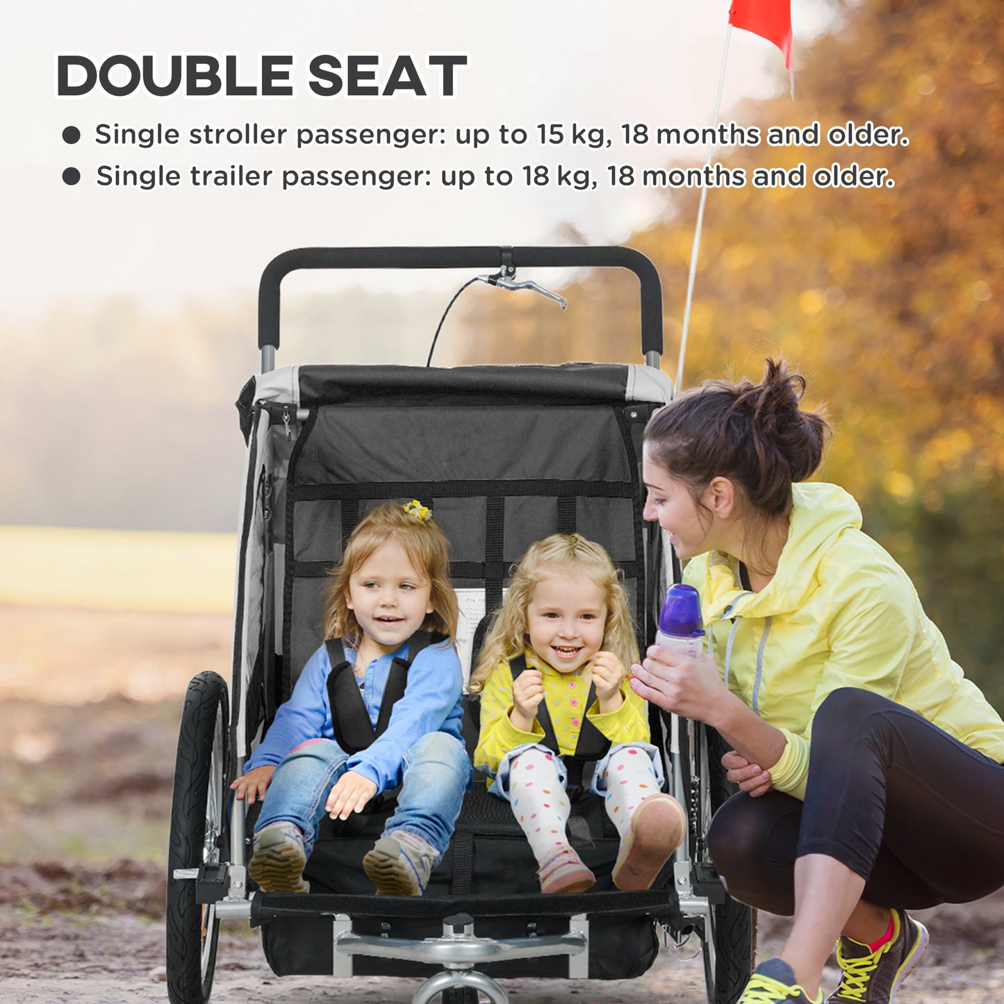 2 Seat Bike Trailer with 5 Point Harness