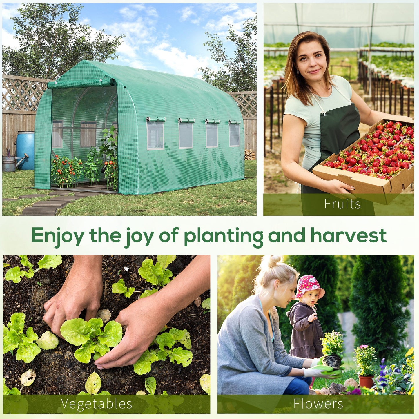 Polytunnel Greenhouse with Windows and Door