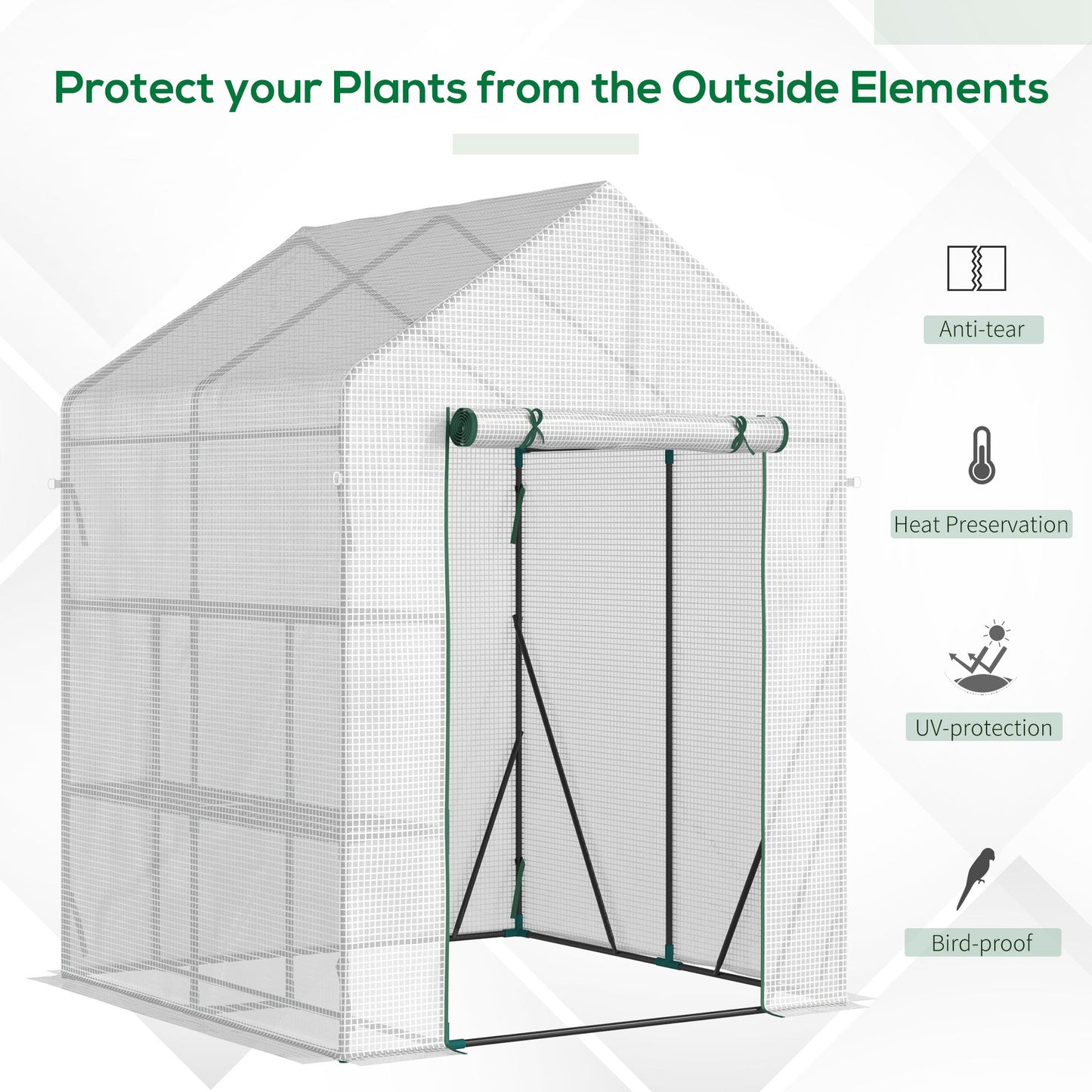 Walk In Greenhouse with 2 Tier Shelf (1)