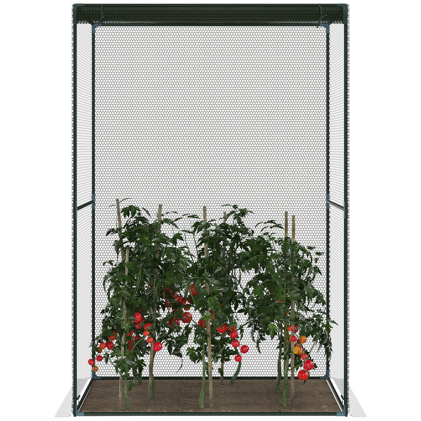 120 x 120cm Compact Plant Cage, with Netting
