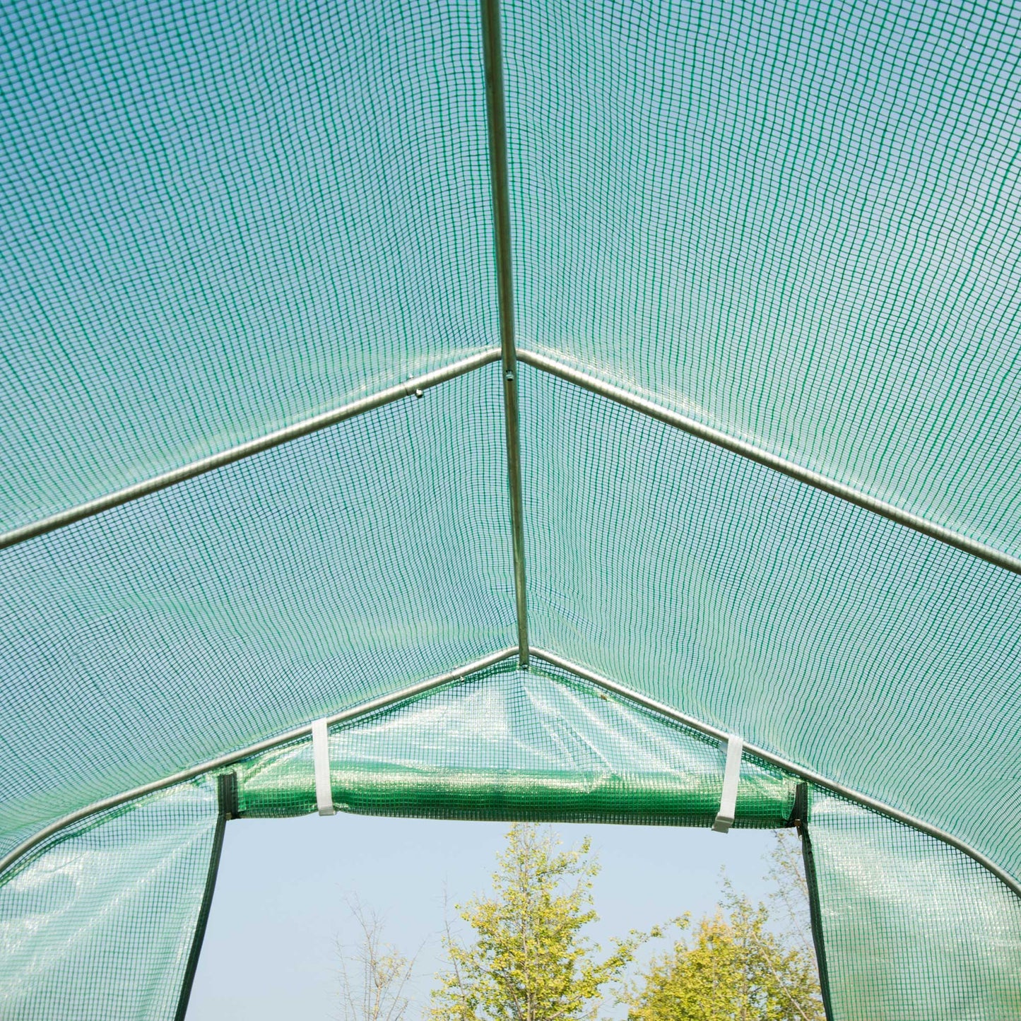 Polytunnel Greenhouse with Windows and Door