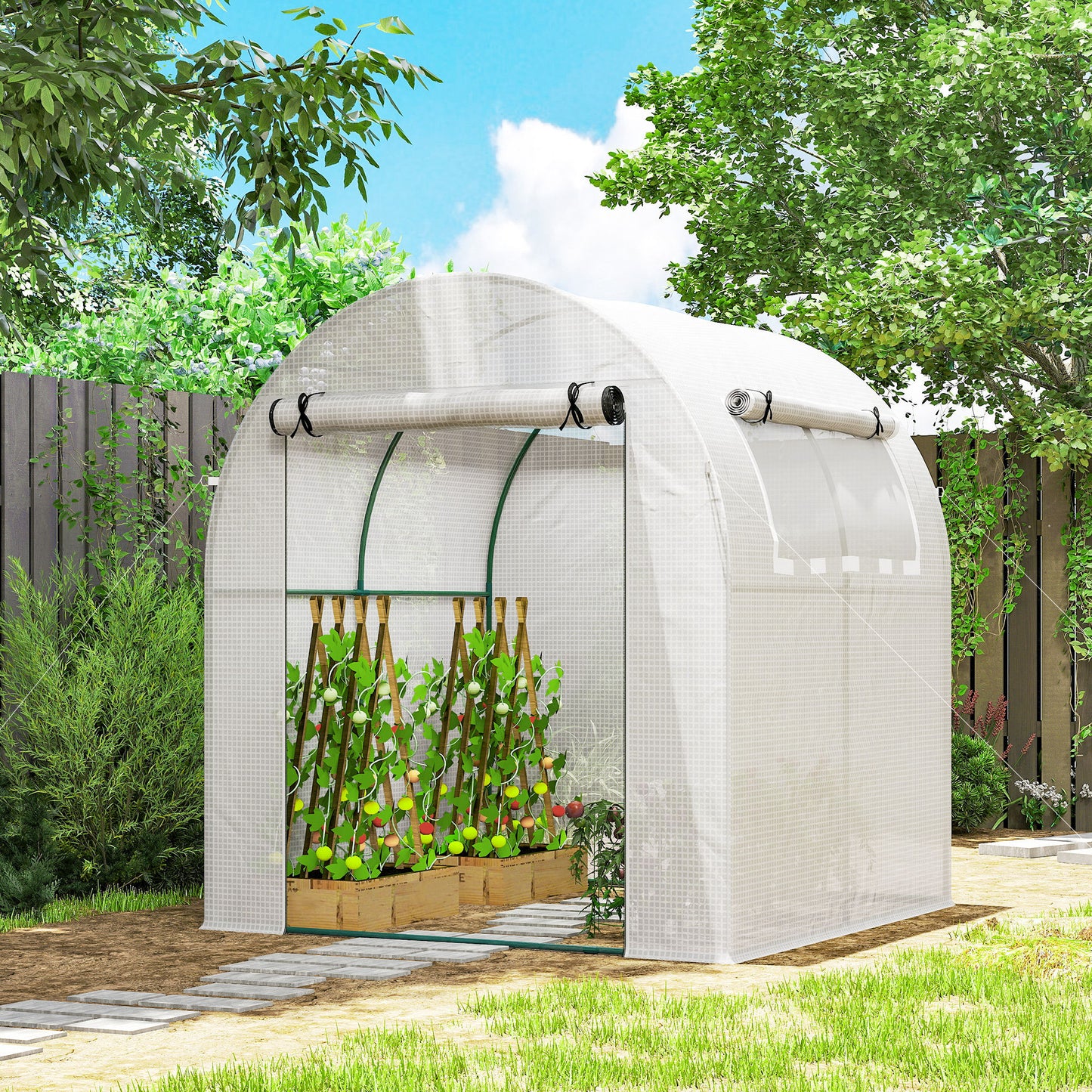 Walk in Polytunnel Greenhouse