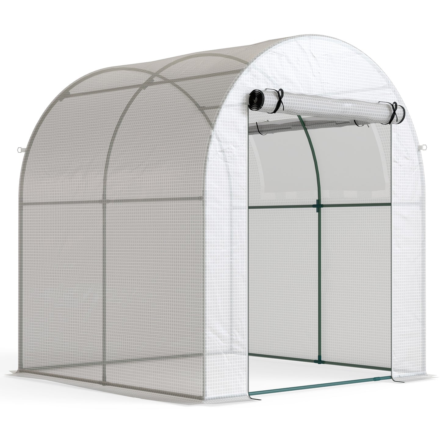 Walk in Polytunnel Greenhouse