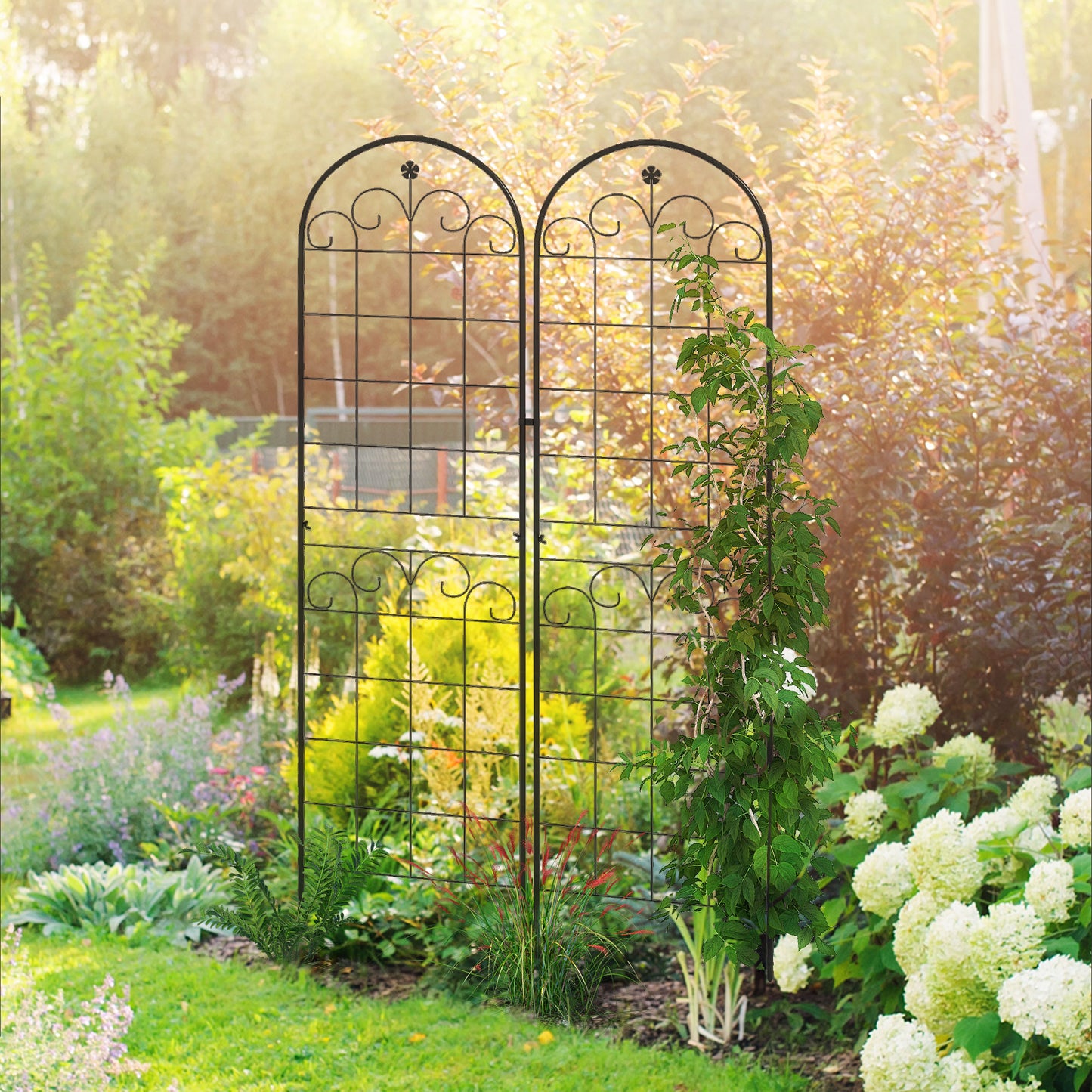 Metal Trellis Set of 2, Garden Trellis
