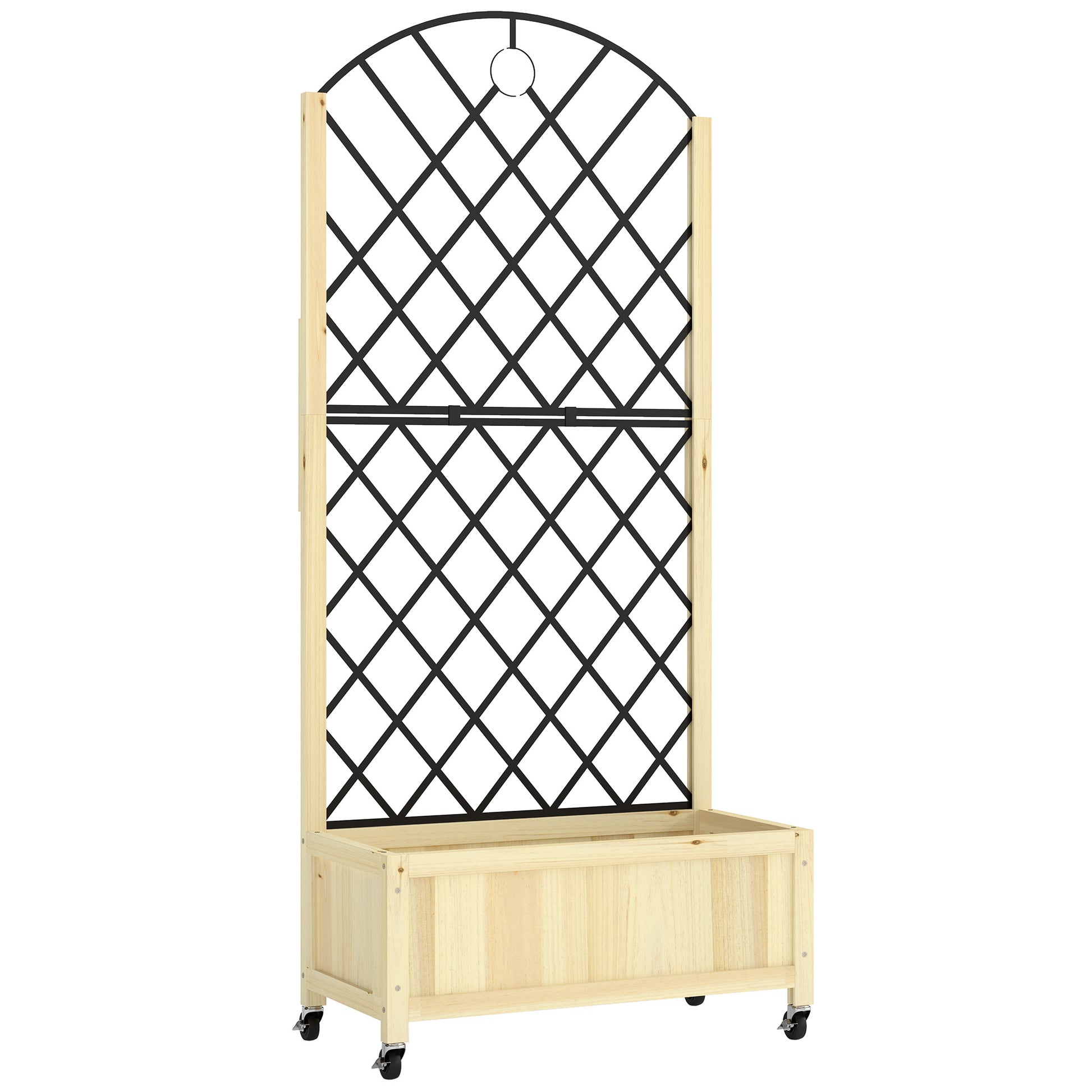Raised Garden Bed with Metal Trellis (1)