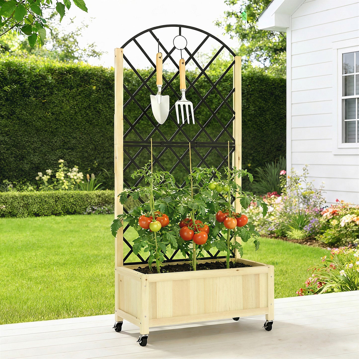 Raised Garden Bed with Metal Trellis (1)