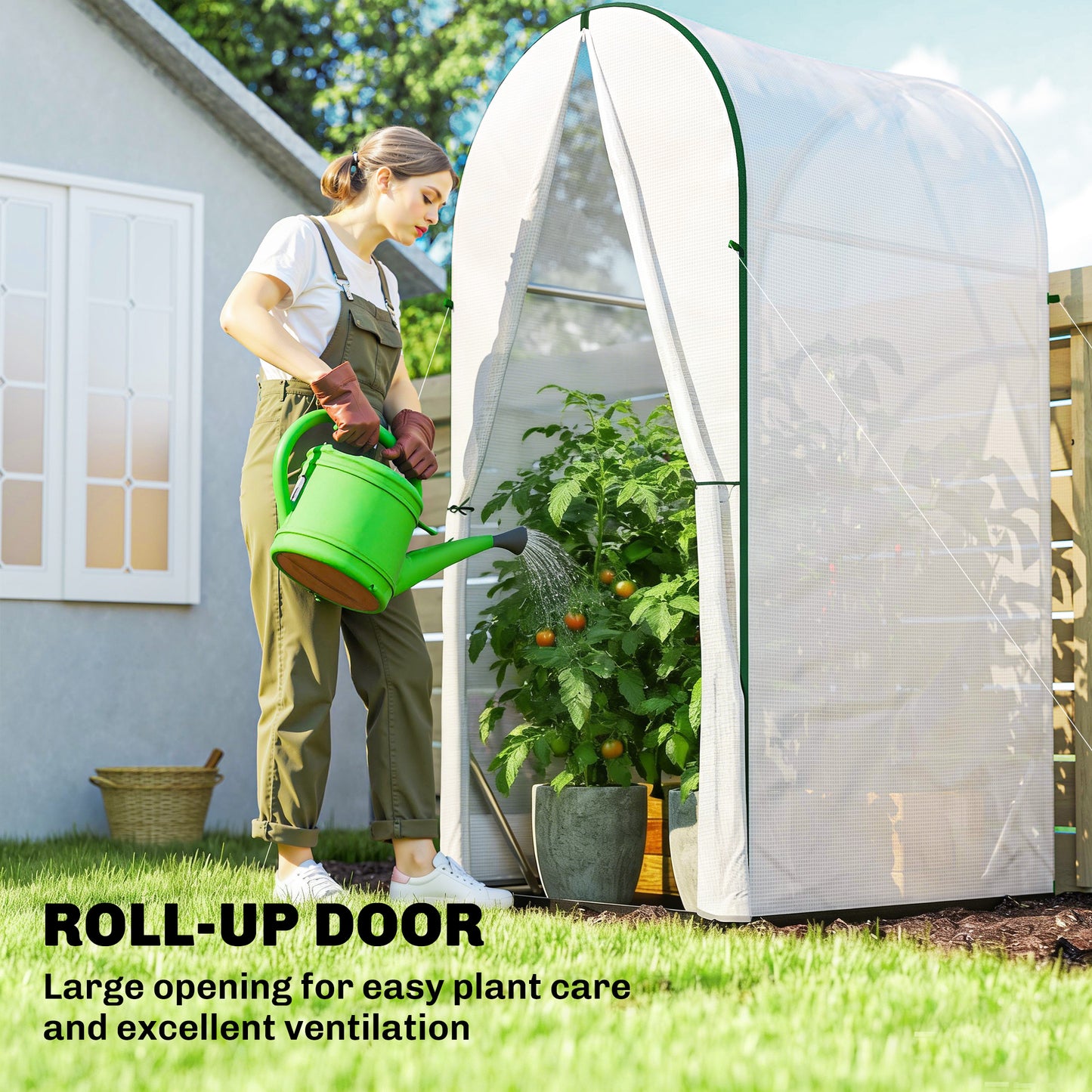Mini Greenhouse, Portable Green House with Roll-Up Door, PE Base