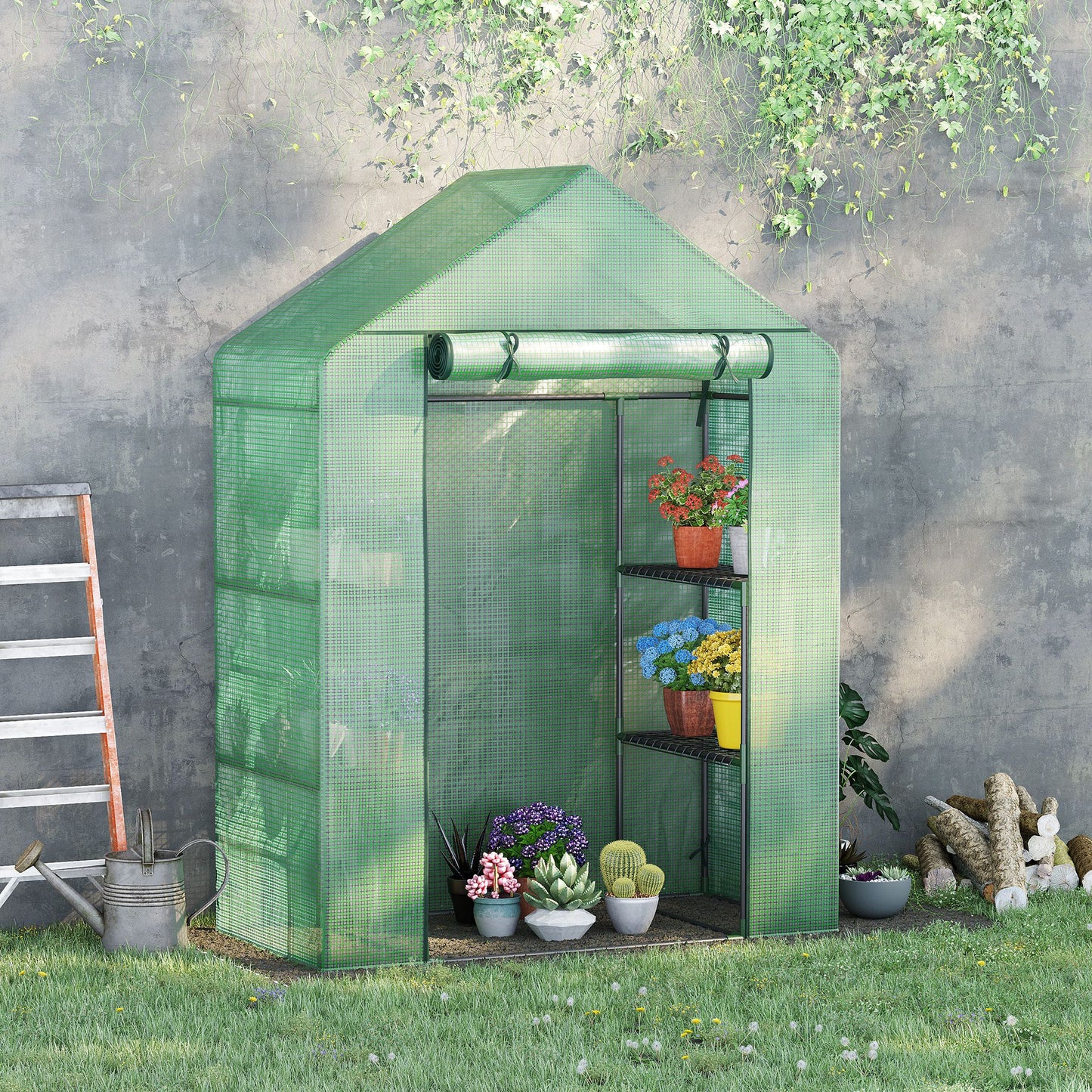Walk In Greenhouse with Shelves