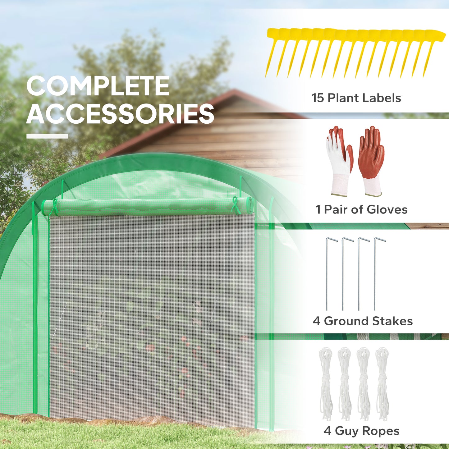 6 x 3(m) Polytunnel Greenhouse with Upgraded Structure