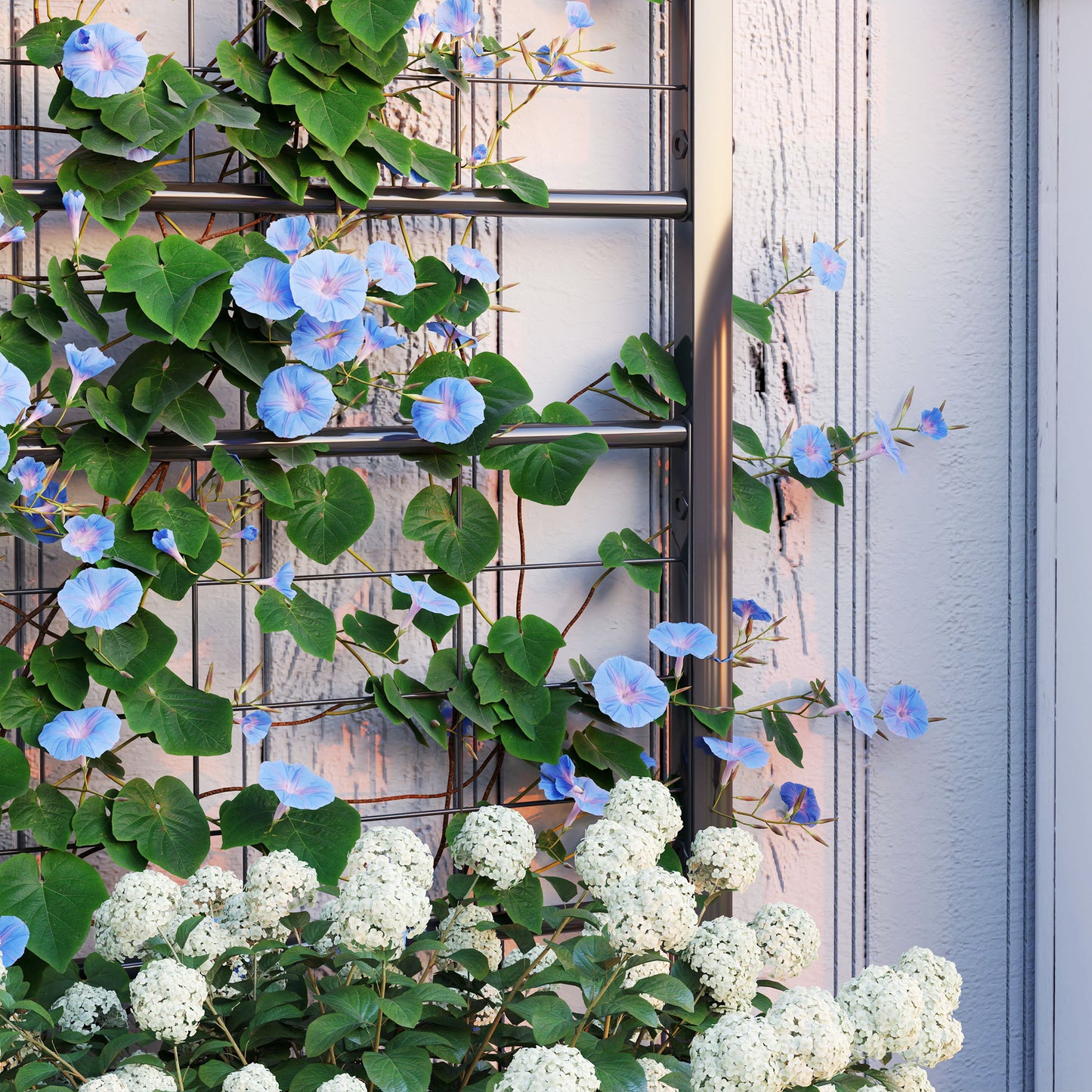 Raised Bed for Garden with Trellis