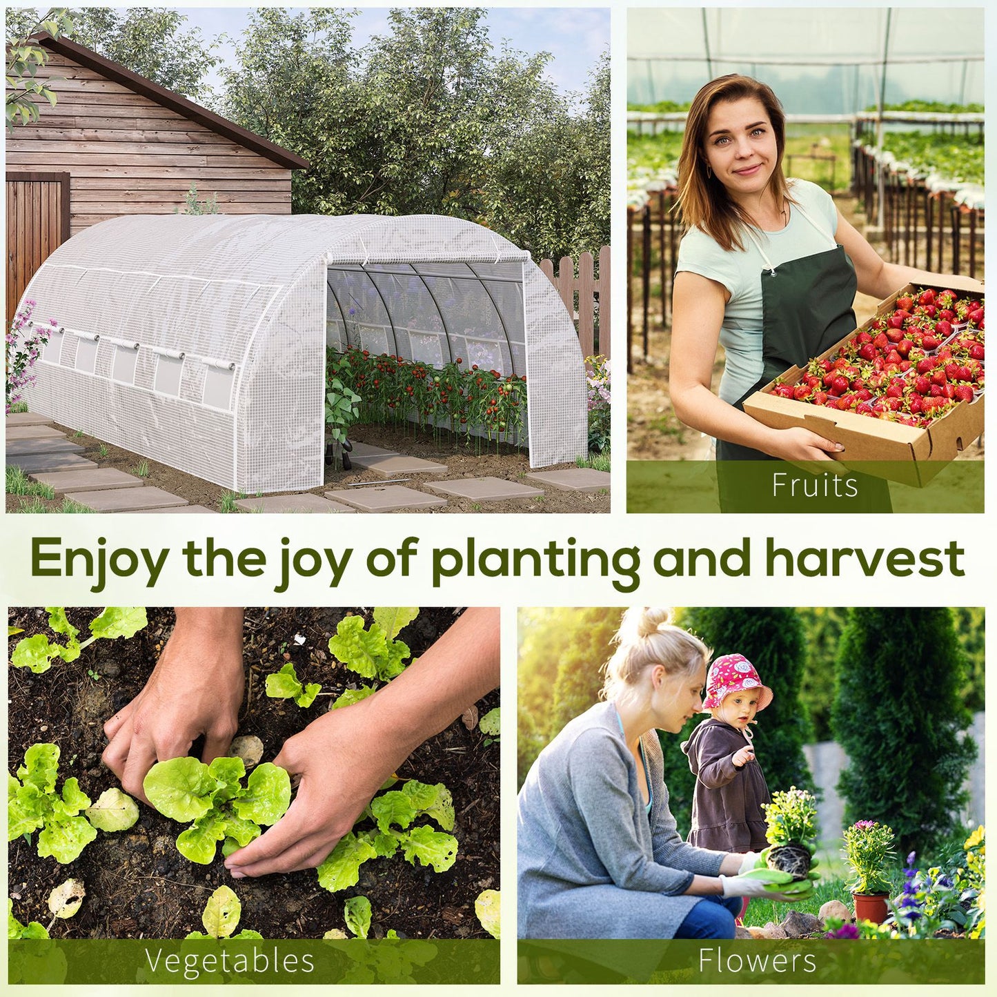 6 x 3 x 2 m Polytunnel Greenhouse with Roll-up Side Walls