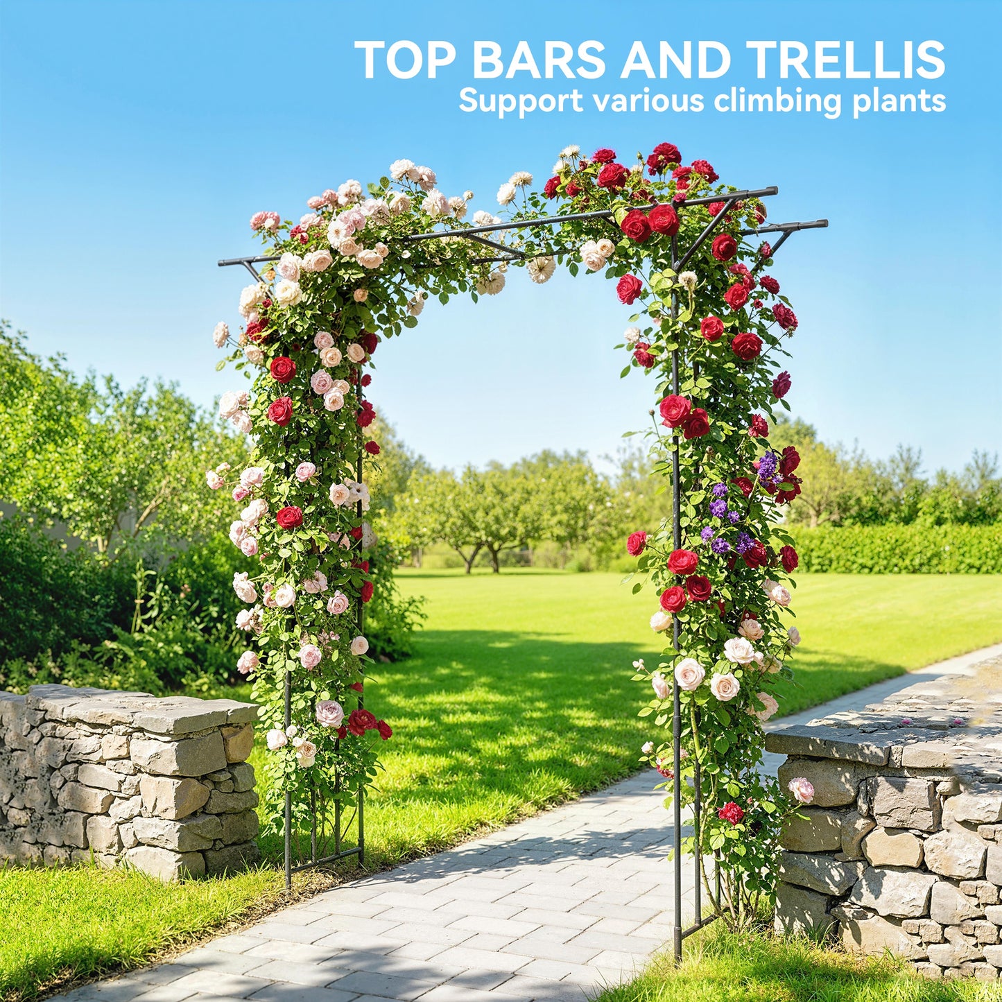 Garden Arch, PE-Coated Steel Arbour Trellis for Climbing Plants