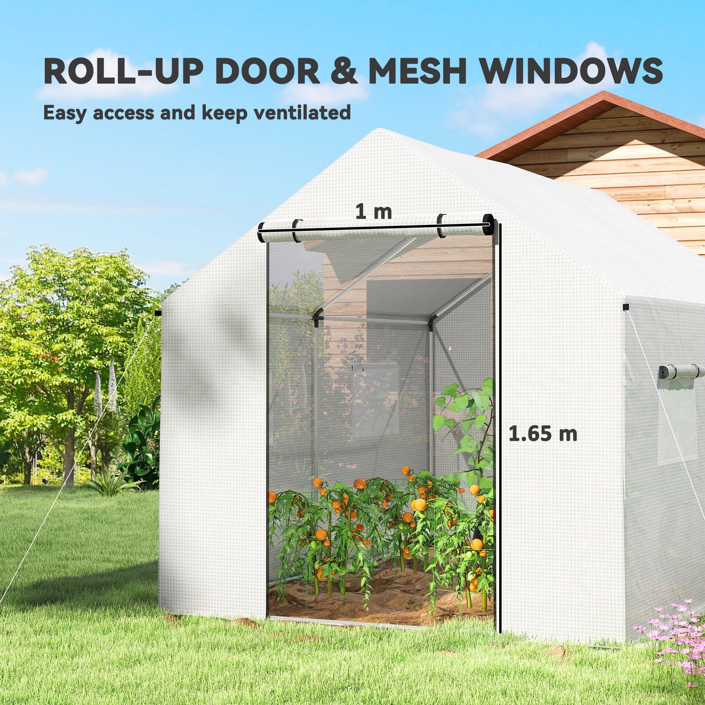 Polyethylene Walk-in Polytunnel Greenhouse with Roll-up door