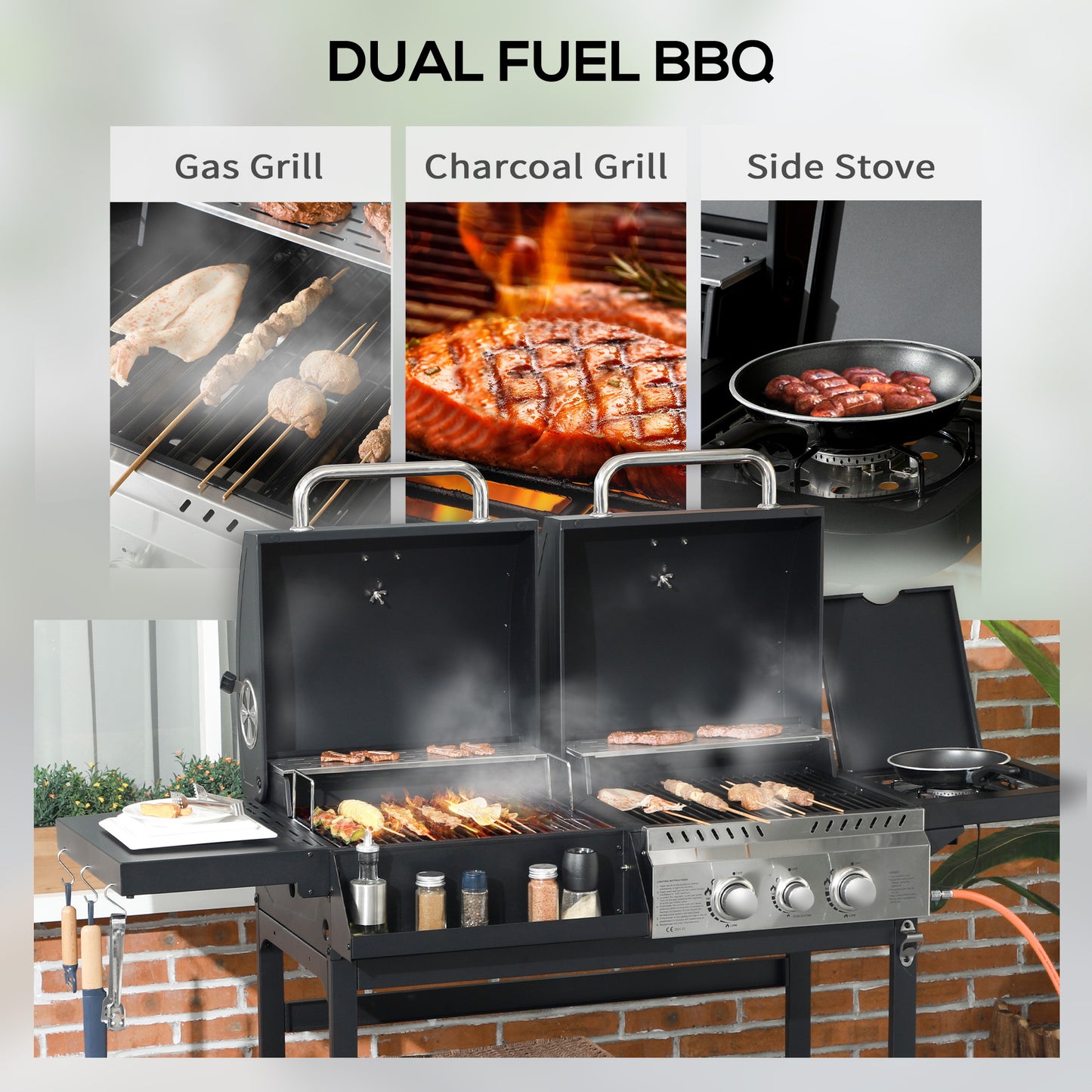 Dual Fuel BBQ Grill