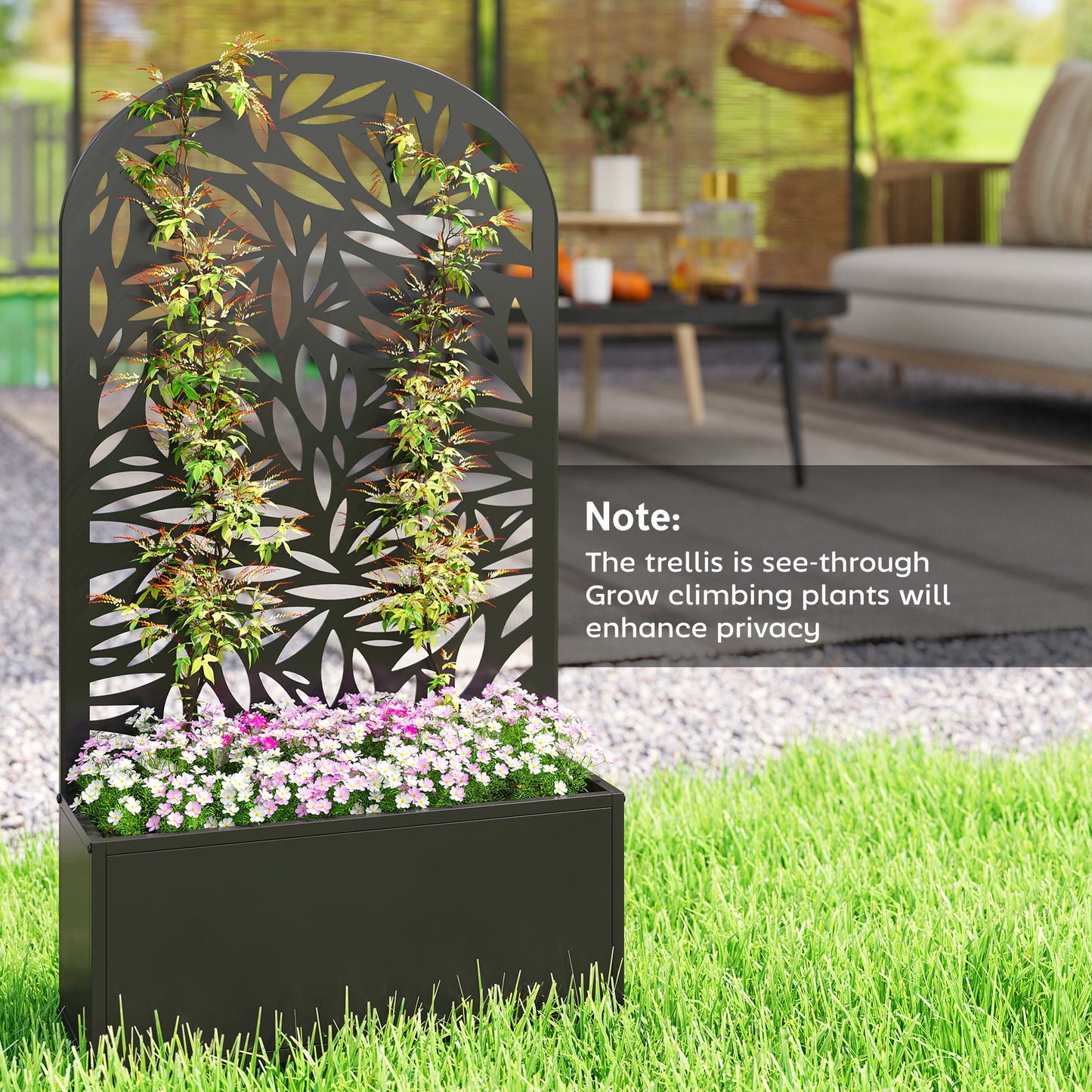 Metal Garden Bed for Garden with Trellis (2)