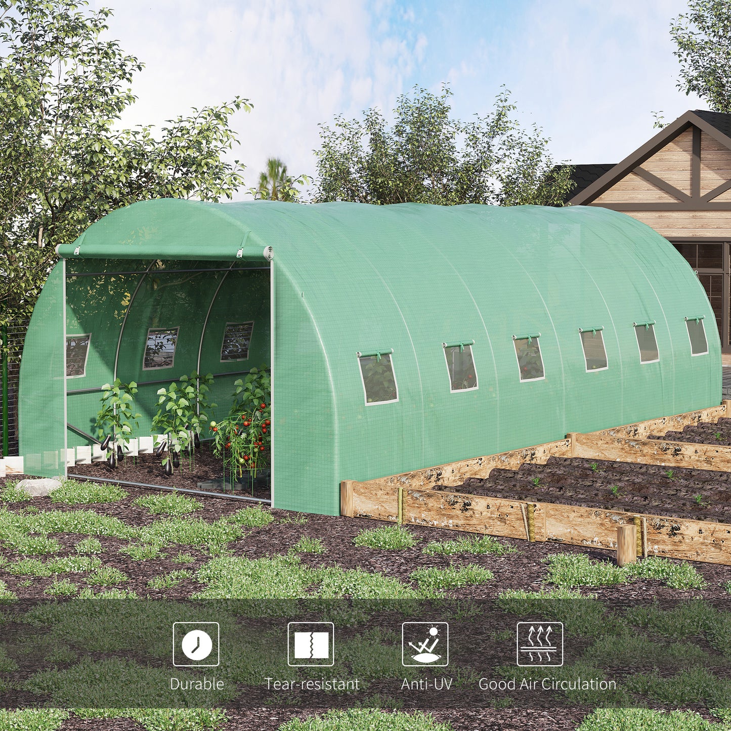 6 x 3 x 2 m Polytunnel Greenhouse with Roll-up Door