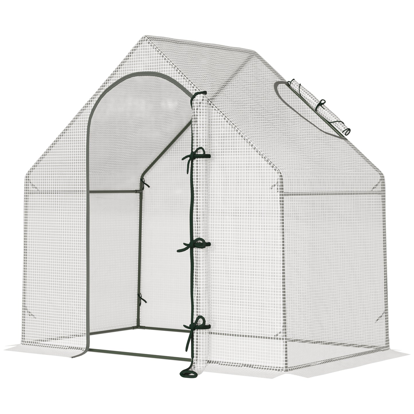 Walk In Tomato Greenhouse Garden Outdoor Mini Greenhouse Flower