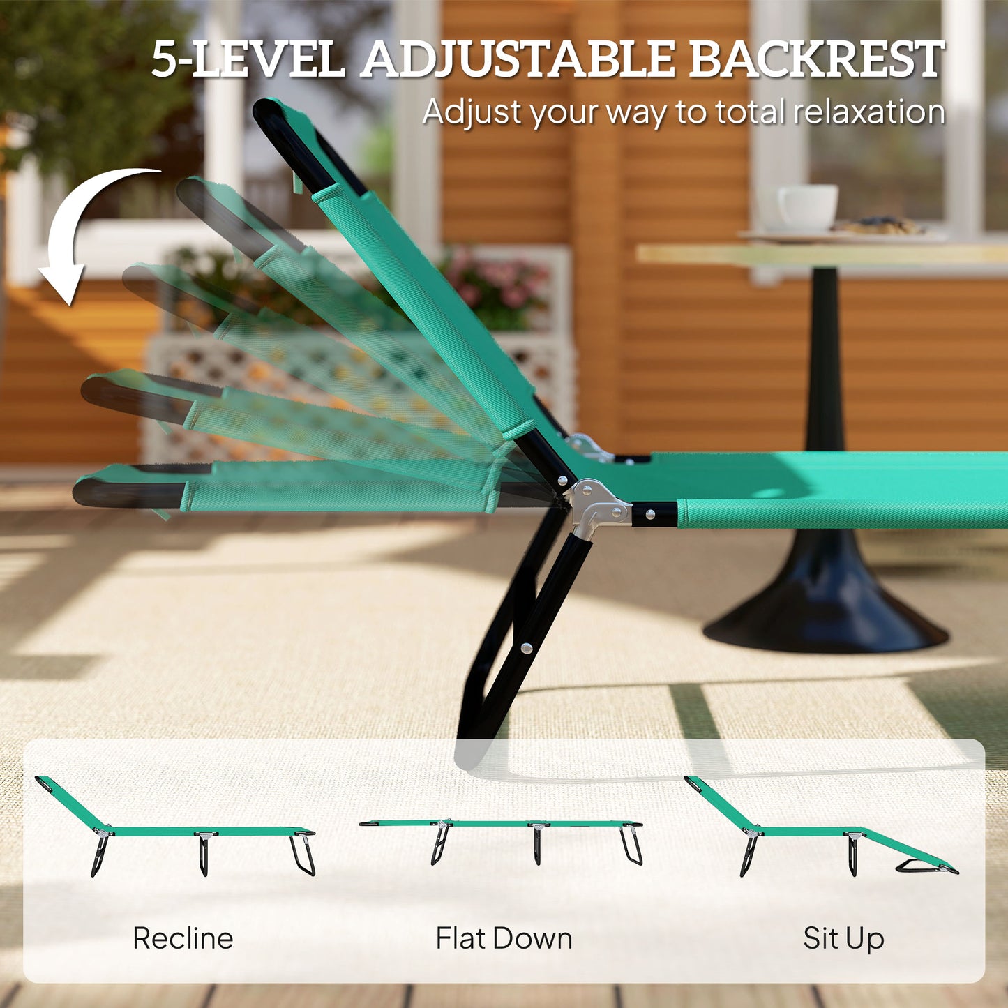 Foldable Sun Lounger with 5-Position Adjustable Backrest (2)