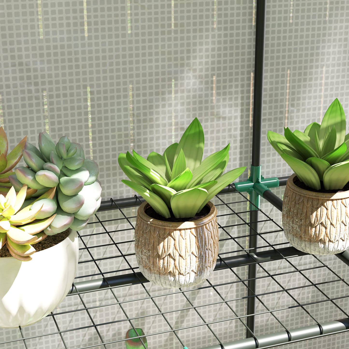 Three-Tier Mini Greenhouse (4)