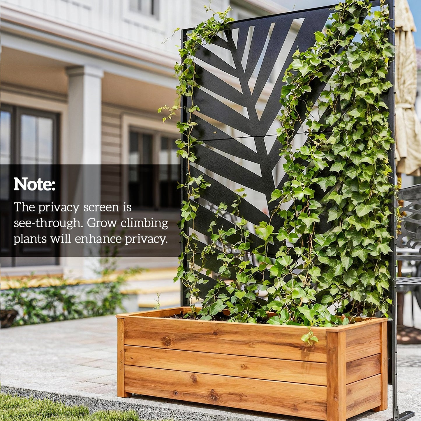 Decorative Privacy Screen with Stand (1)