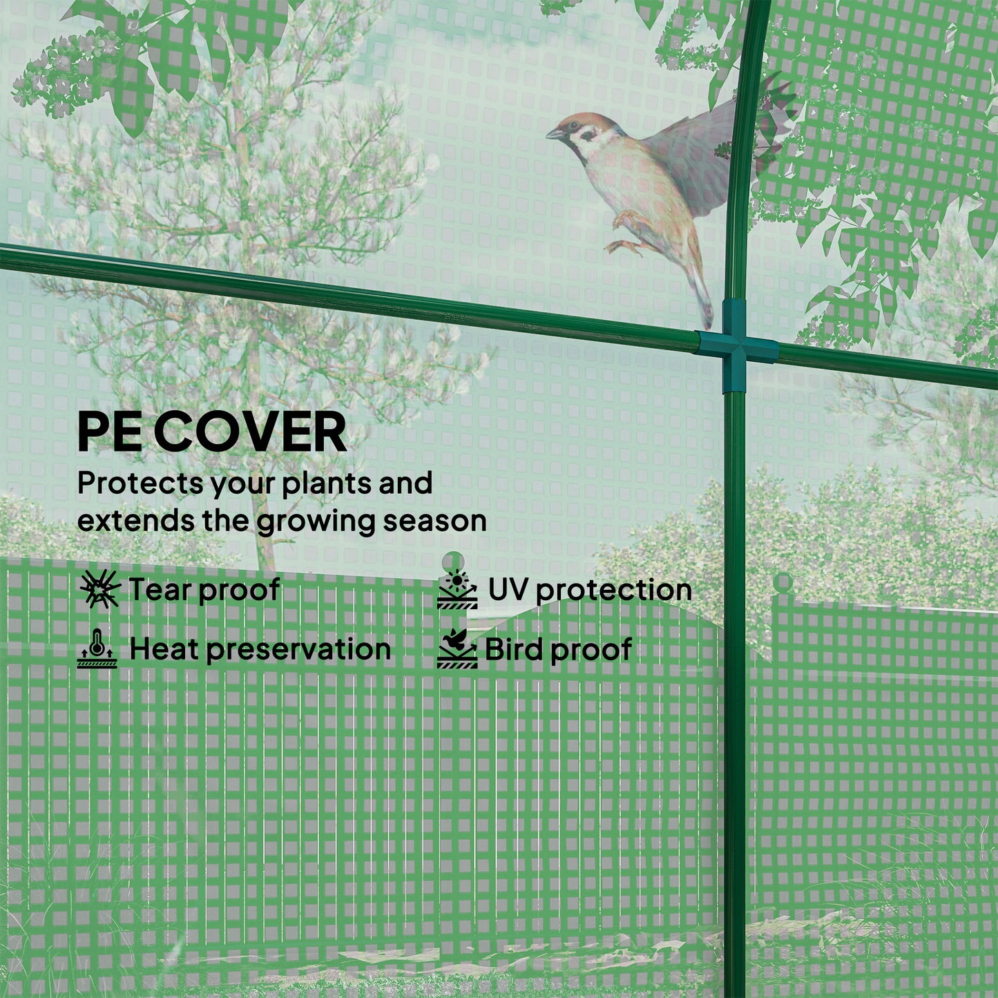 Walk in Polytunnel Greenhouse
