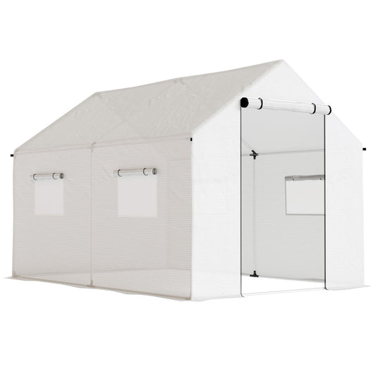 Polyethylene Walk-in Polytunnel Greenhouse with Roll-up door