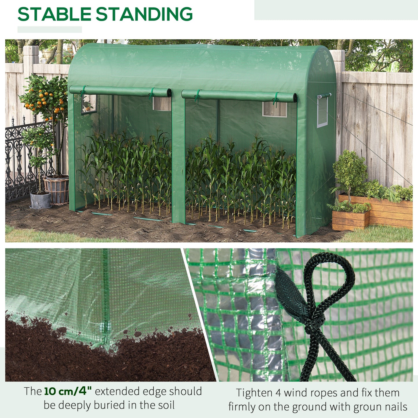 Walk-in Greenhouse, Tomato Greenhouse with Double Doors & 4 Windows