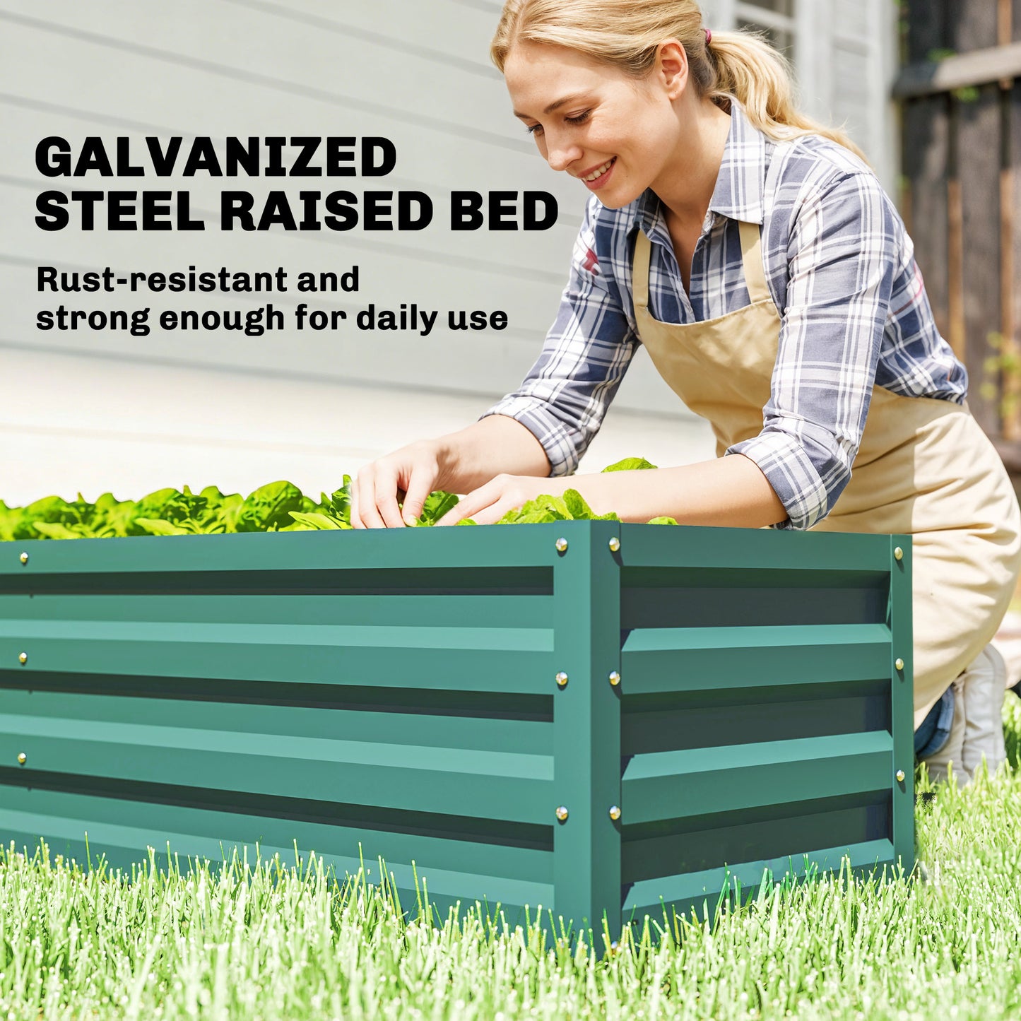 Small Greenhouse with Raised Garden Bed