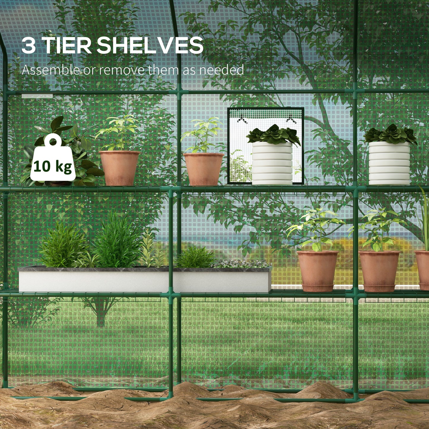 Walk-in Greenhouse with 3 Tier 12 Shelves