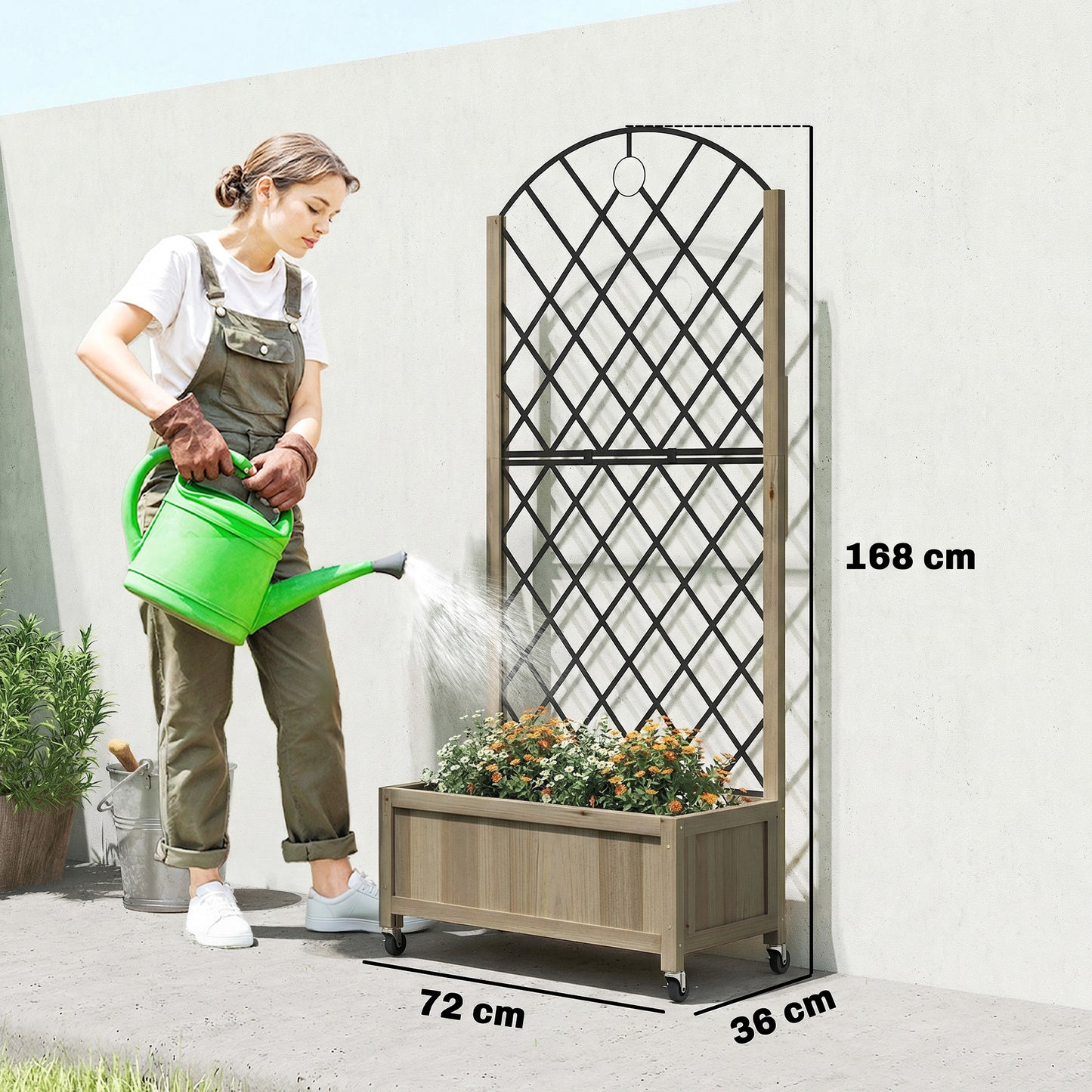 Raised Garden Bed with Metal Trellis