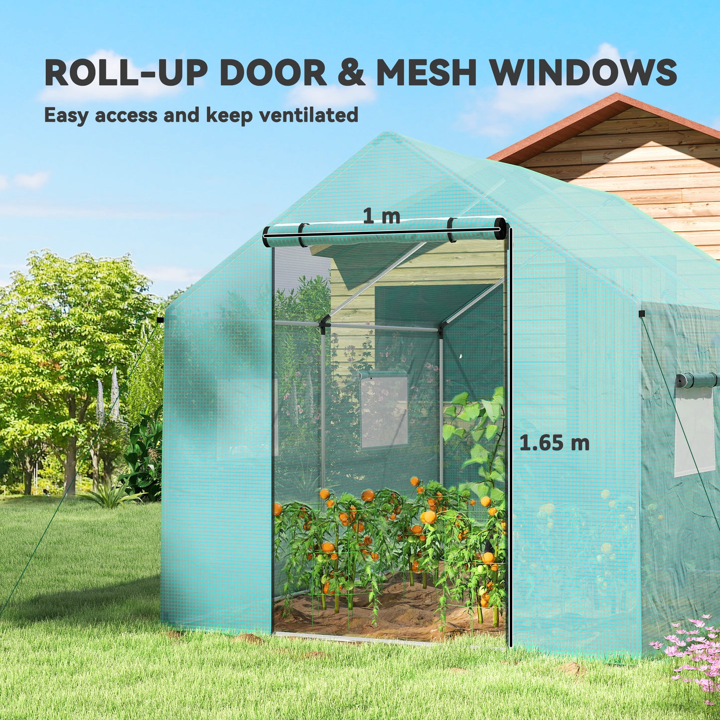 Polyethylene Walk-in Polytunnel Greenhouse, 2 x 3(m)