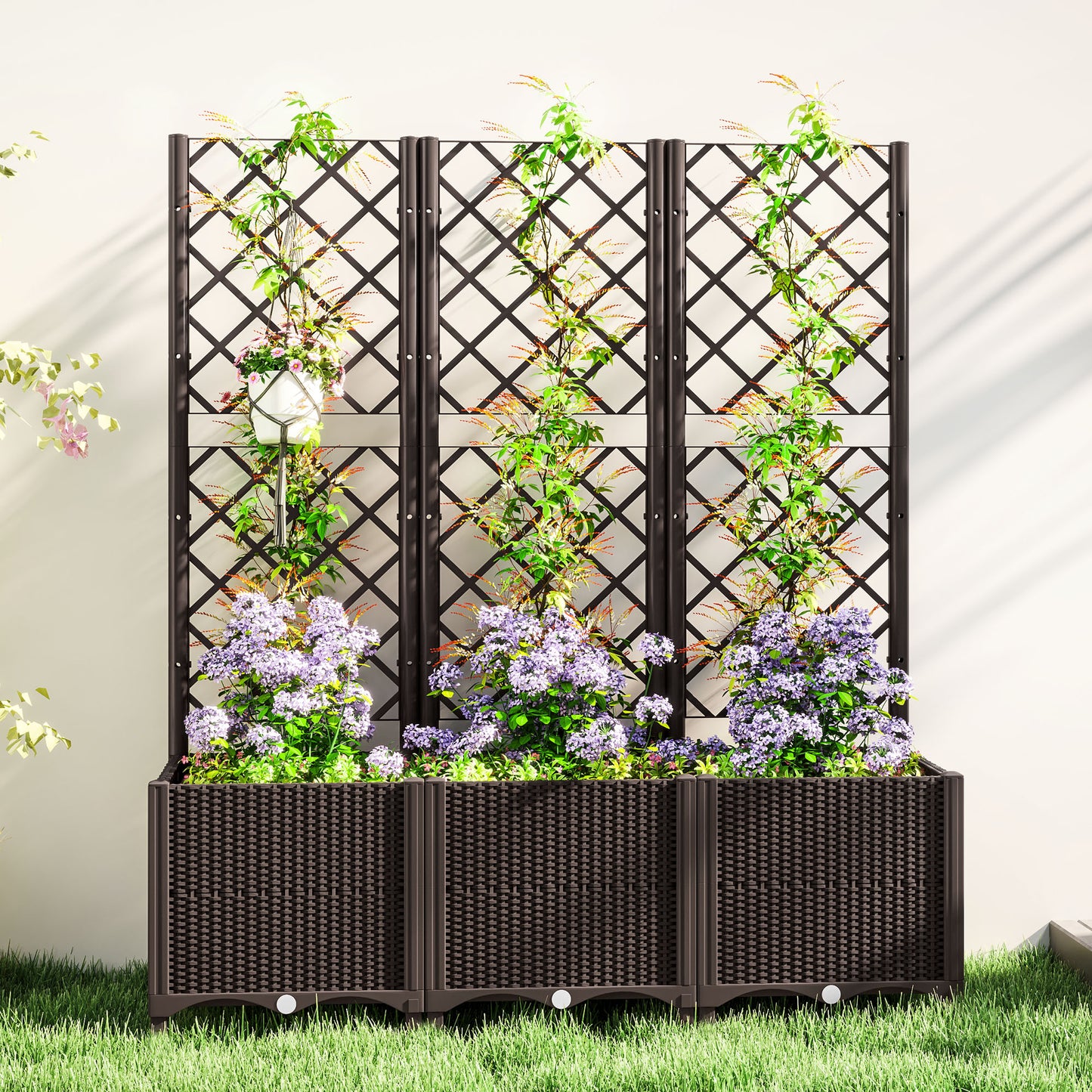 Raised Garden Bed with Trellis (3)