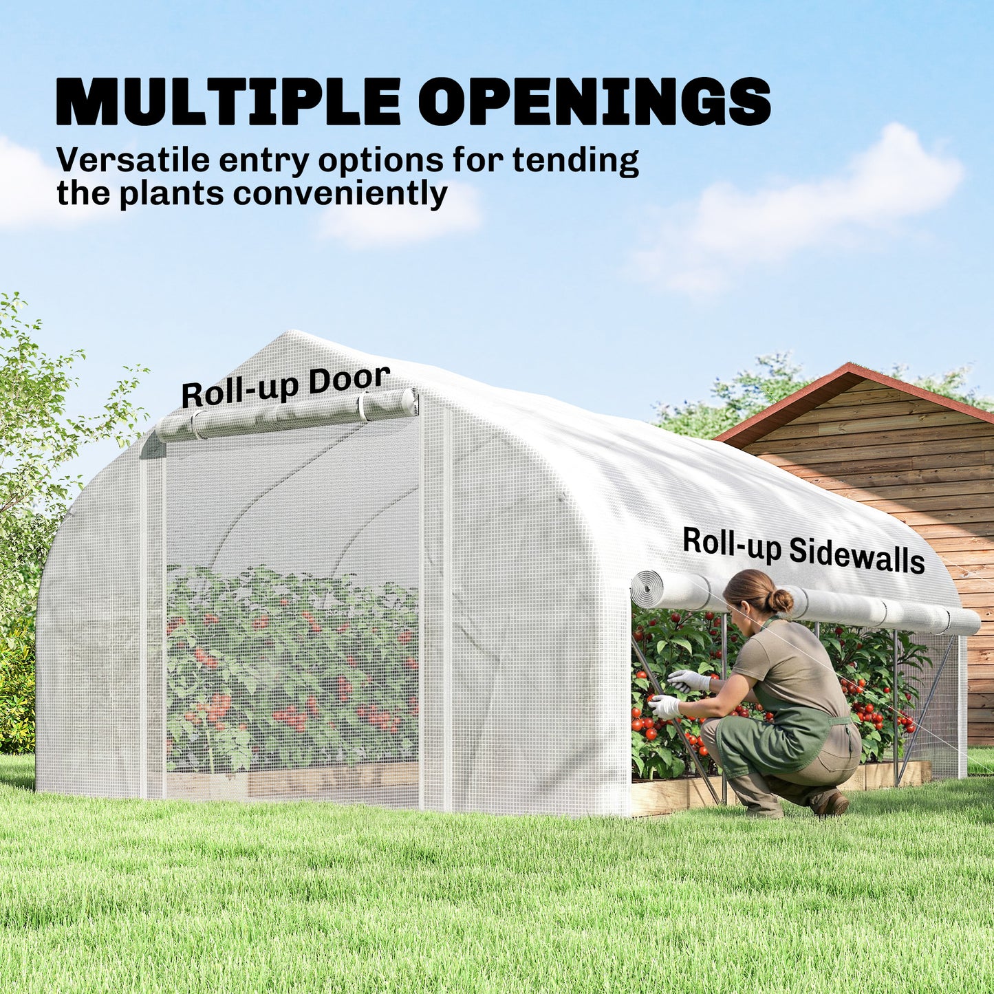 4 x 3(m) Walk-in Polytunnel Greenhouse, Zipped Roll Up Sidewalls