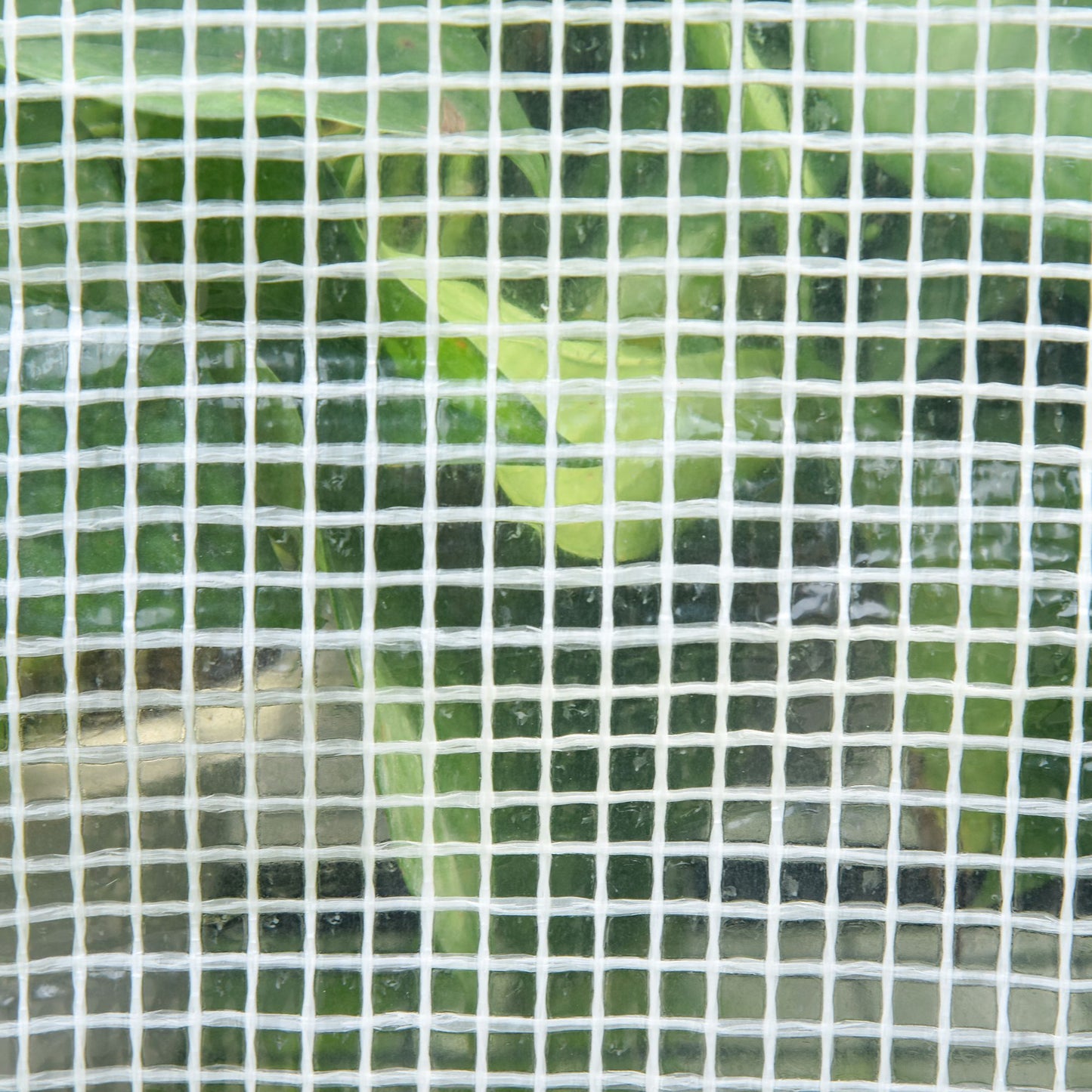 Walk In Greenhouse with 2 Tier Shelf