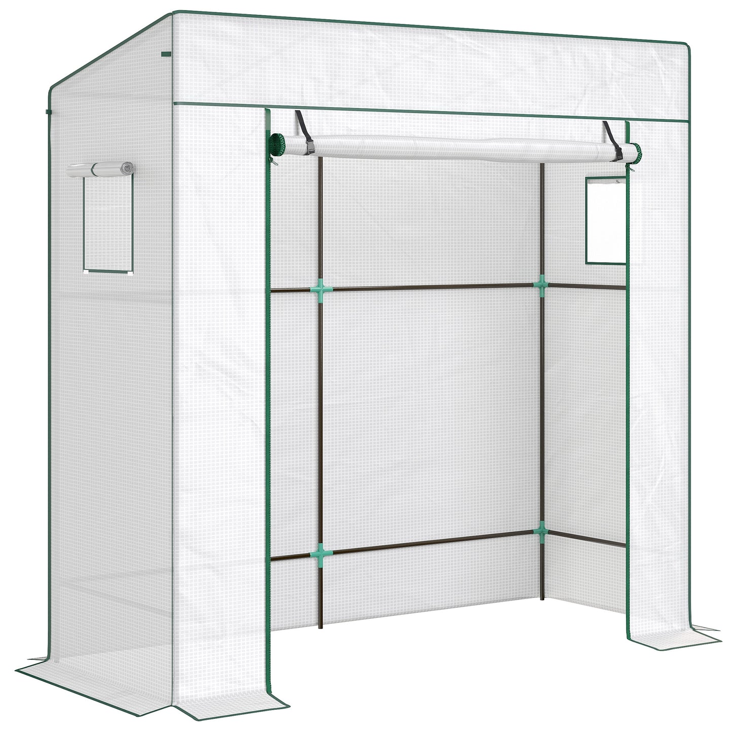 PE Cover Walk-in Outdoor Greenhouse