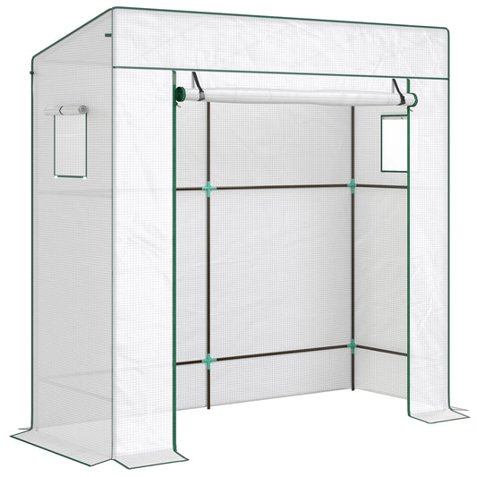PE Cover Walk-in Outdoor Greenhouse
