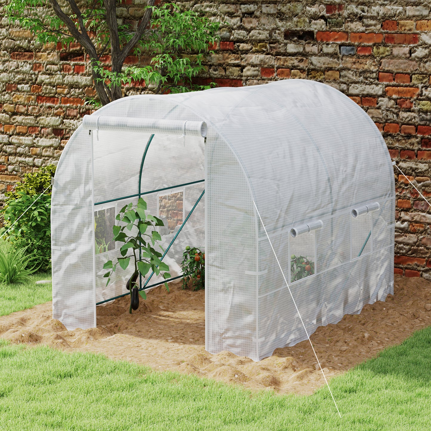 245 x 200cm Polytunnel Greenhouse