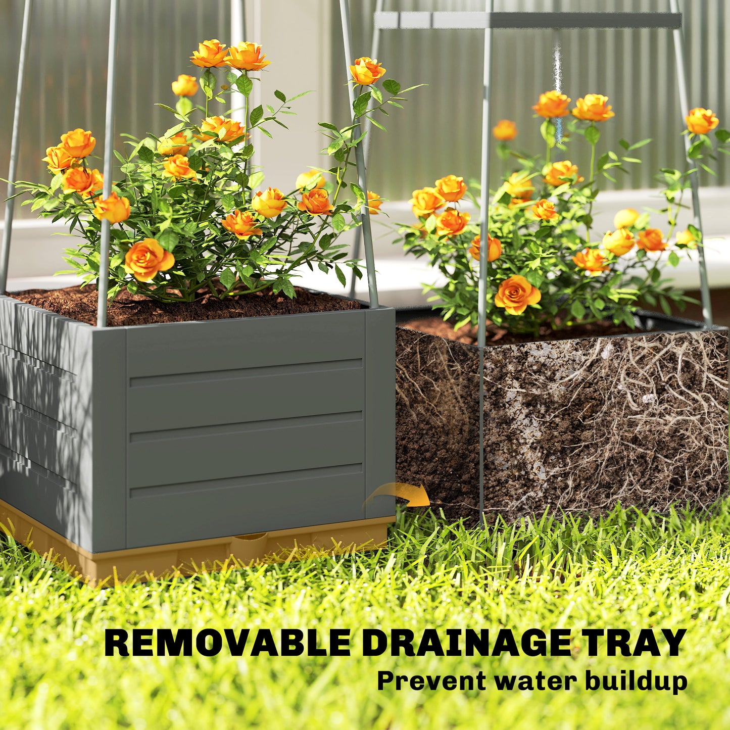 2 Pack Raised Garden Bed with Trellis