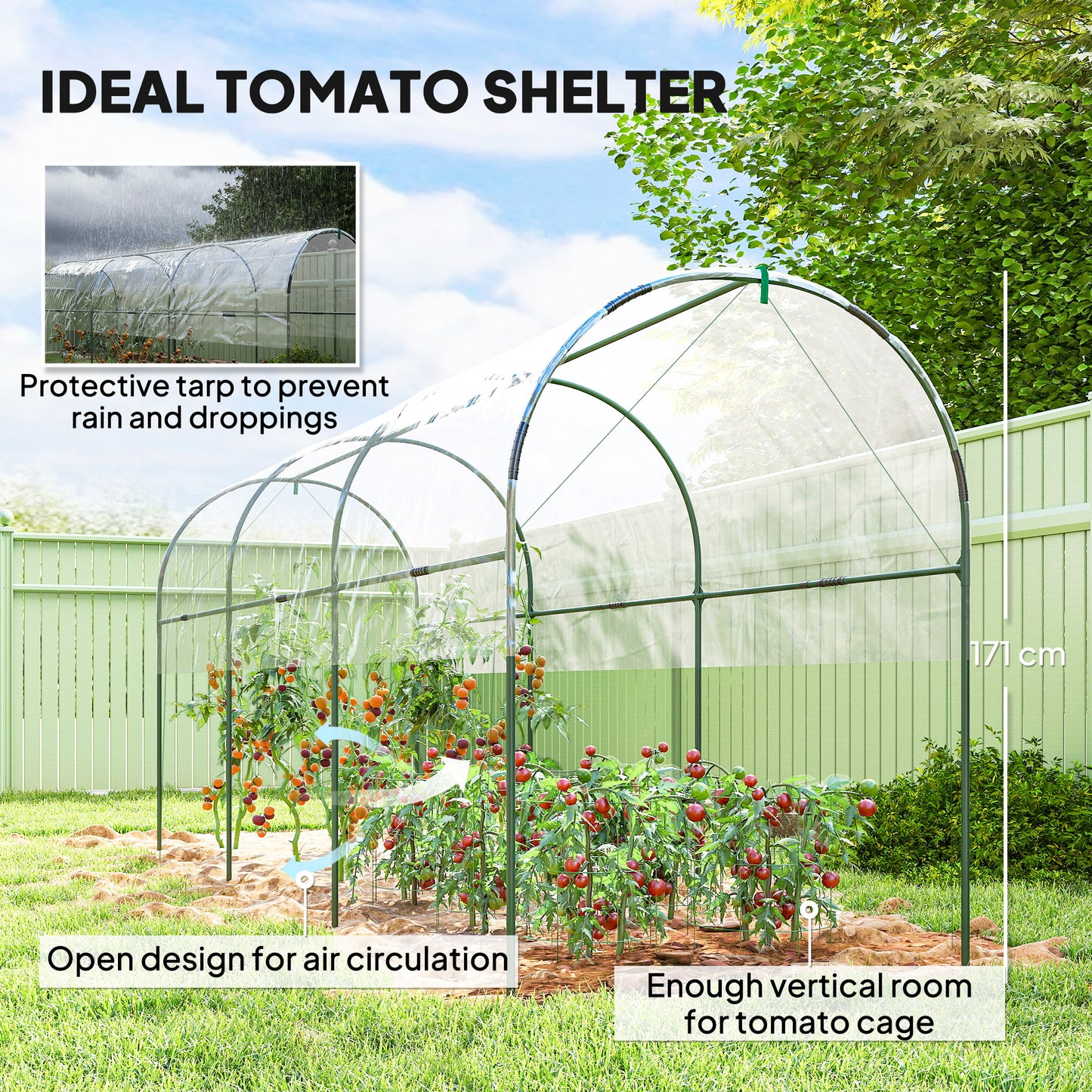 Tunnel Tomato Greenhouse with 4 Hoops and Top Tap