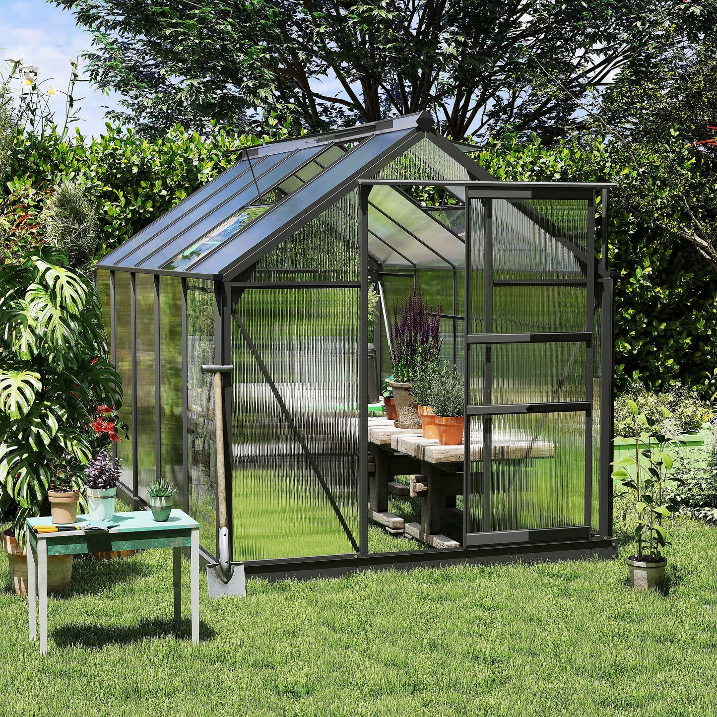 6 x 10ft Polycarbonate Greenhouse