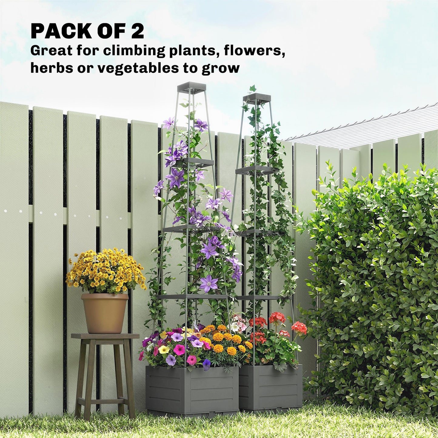2 Pack Raised Garden Bed with Trellis