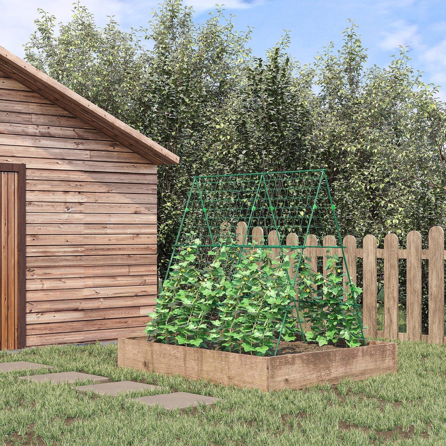 Garden Cucumber Trellis for Climbing Plants