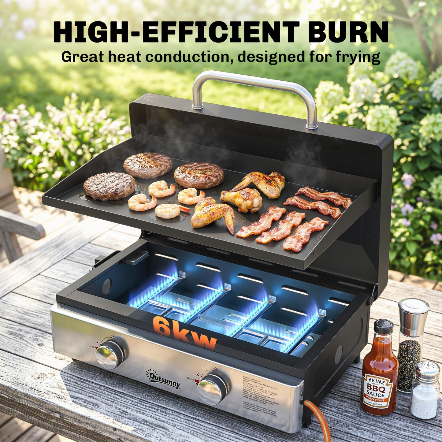 2 Burner Grill Griddle, Portable Gas Plancha, 6 kW