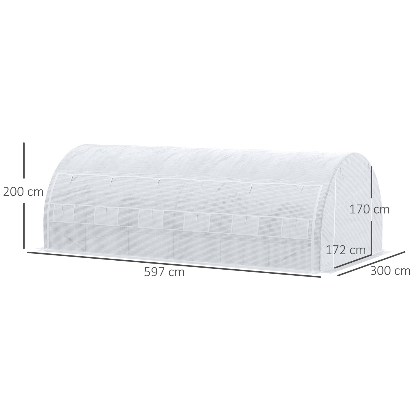 6 x 3 x 2 m Polytunnel Greenhouse with Roll-up Side Walls