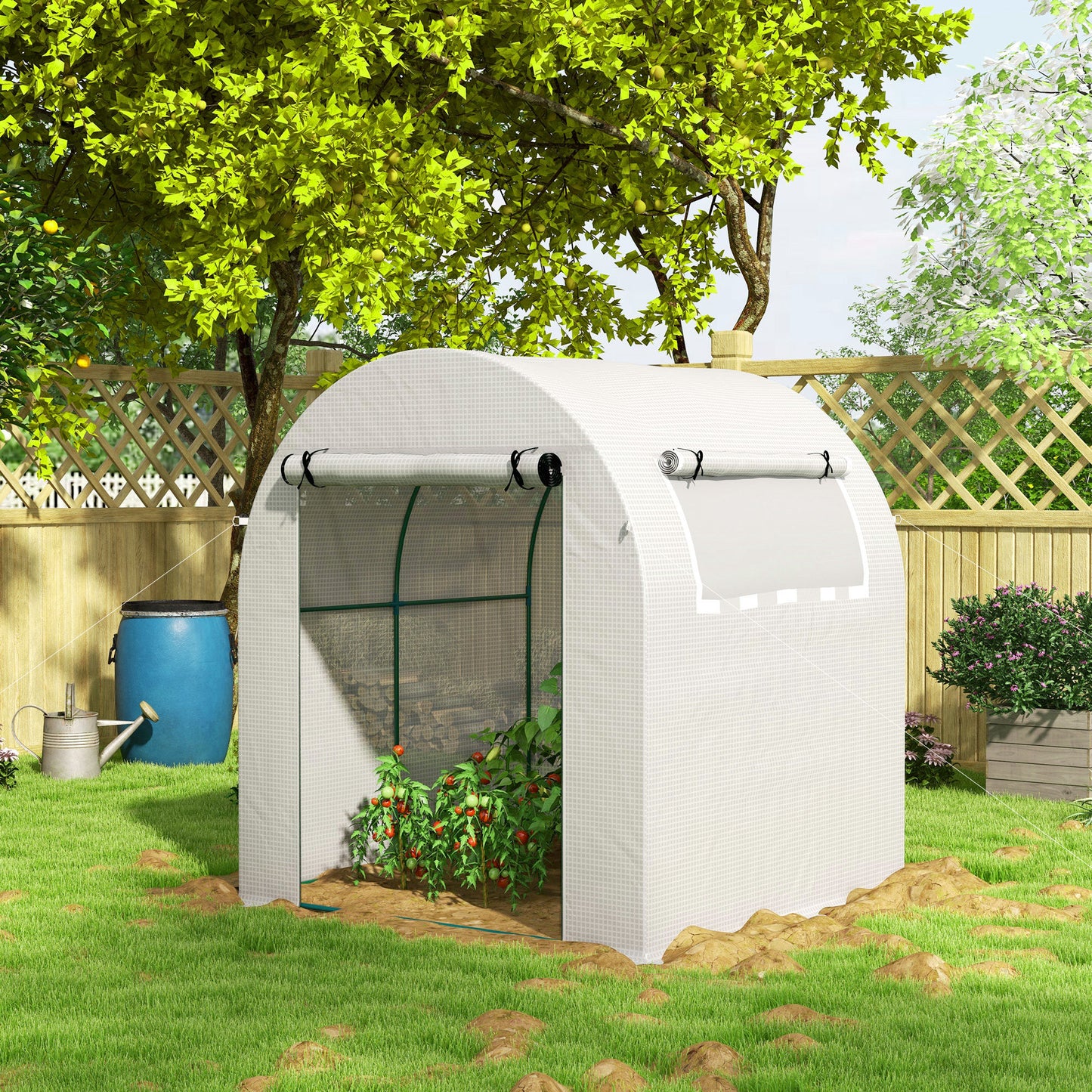 Walk in Polytunnel Greenhouse