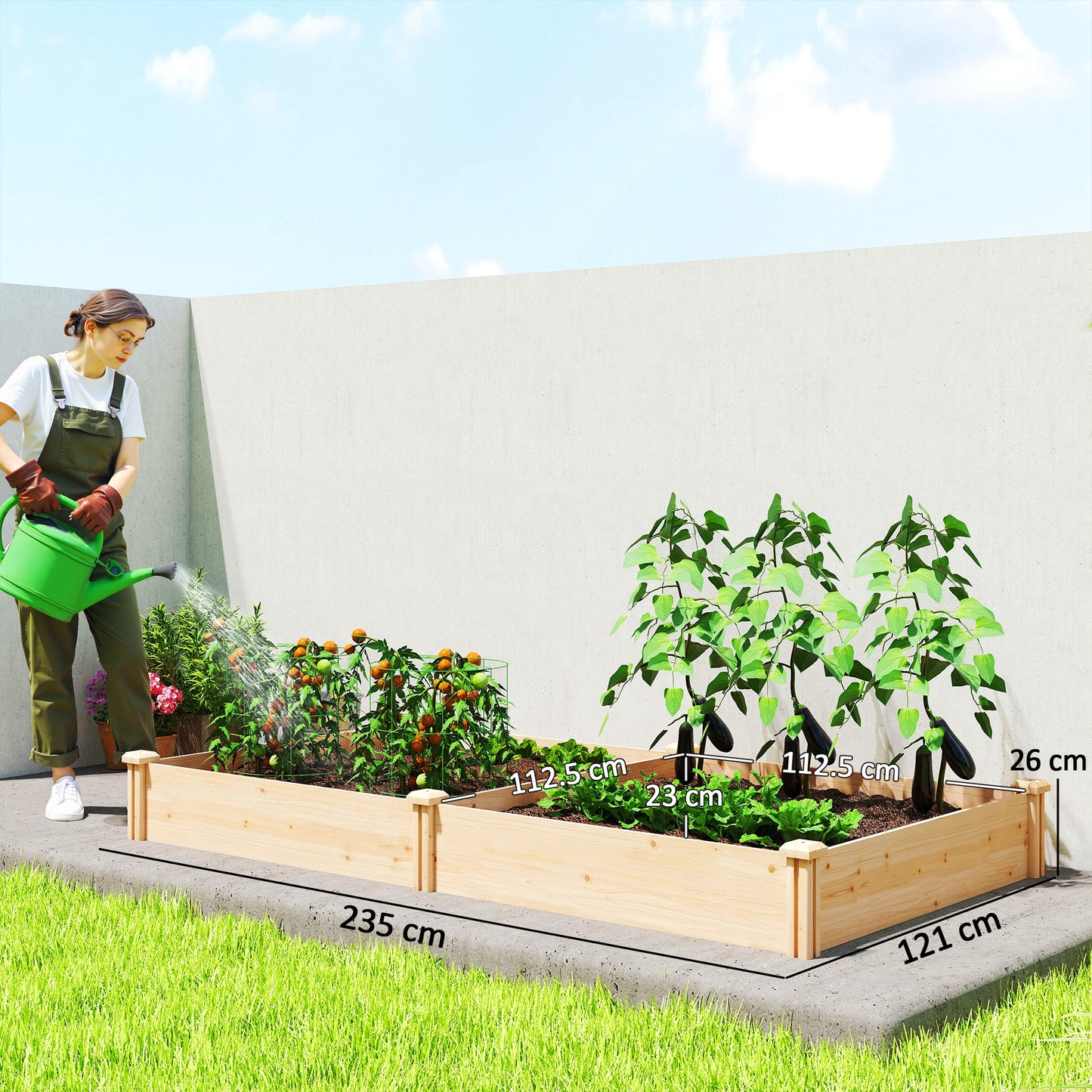 Raised Garden Bed, Wooden Planter Box with Divider and Open Bottom