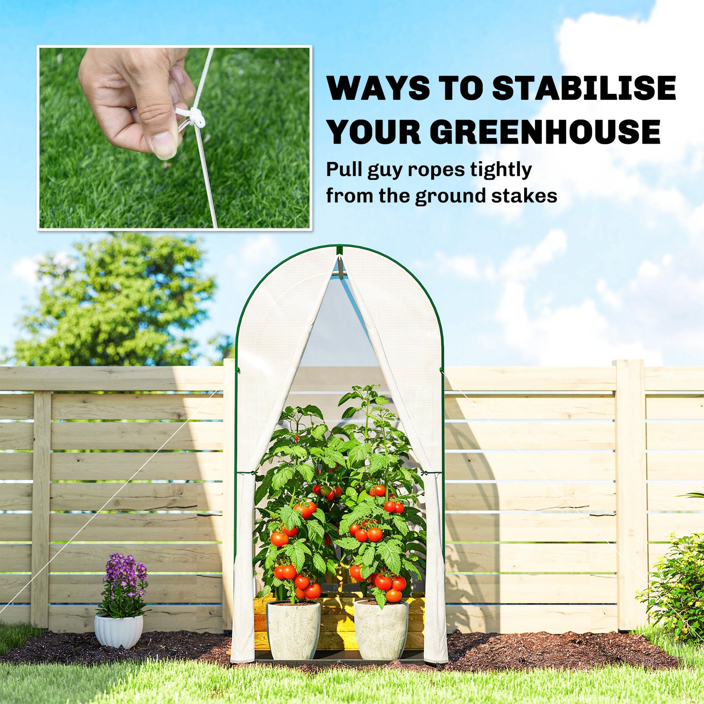 Mini Greenhouse, Portable Green House with Roll-Up Door, PE Base