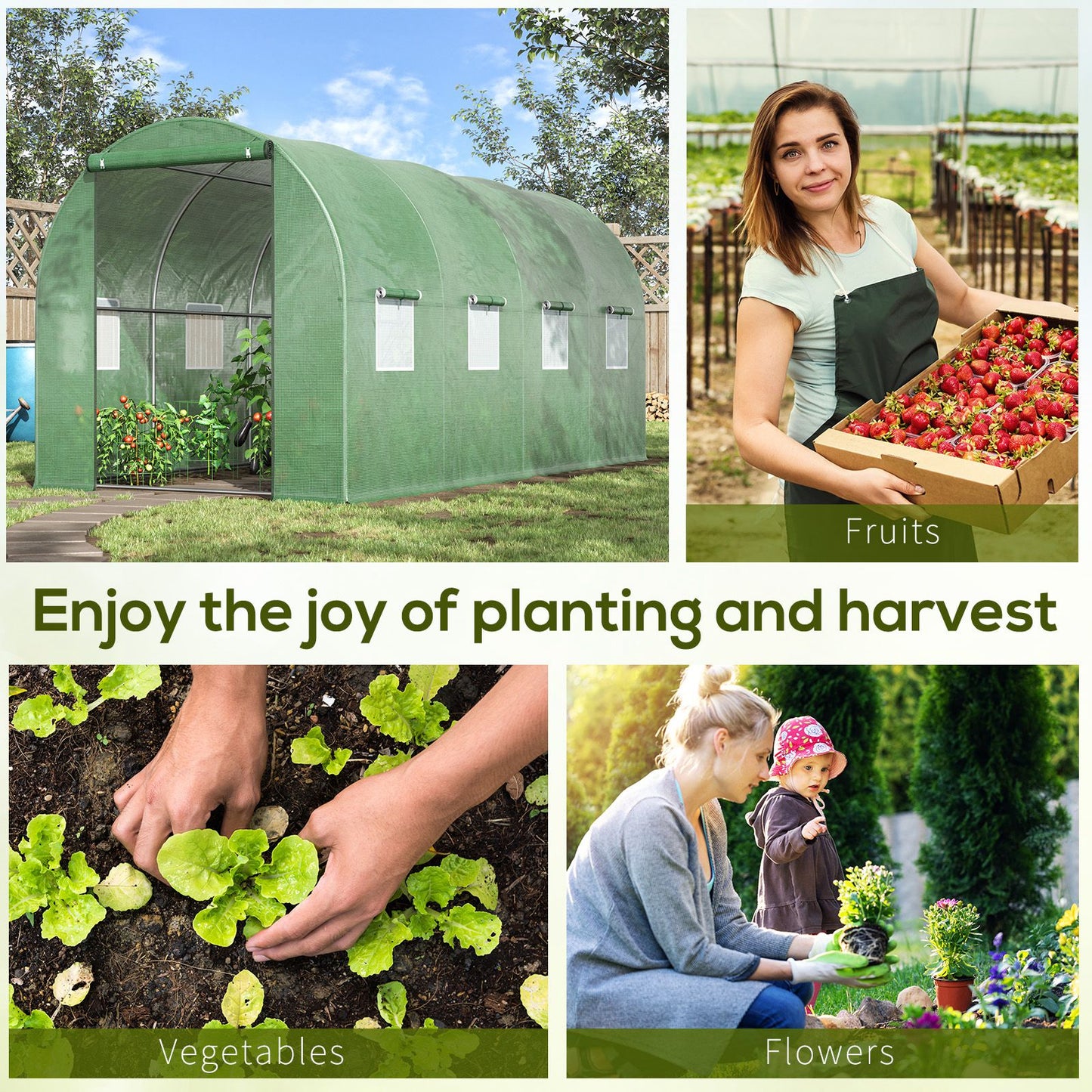 Walk-in Polytunnel Greenhouse
