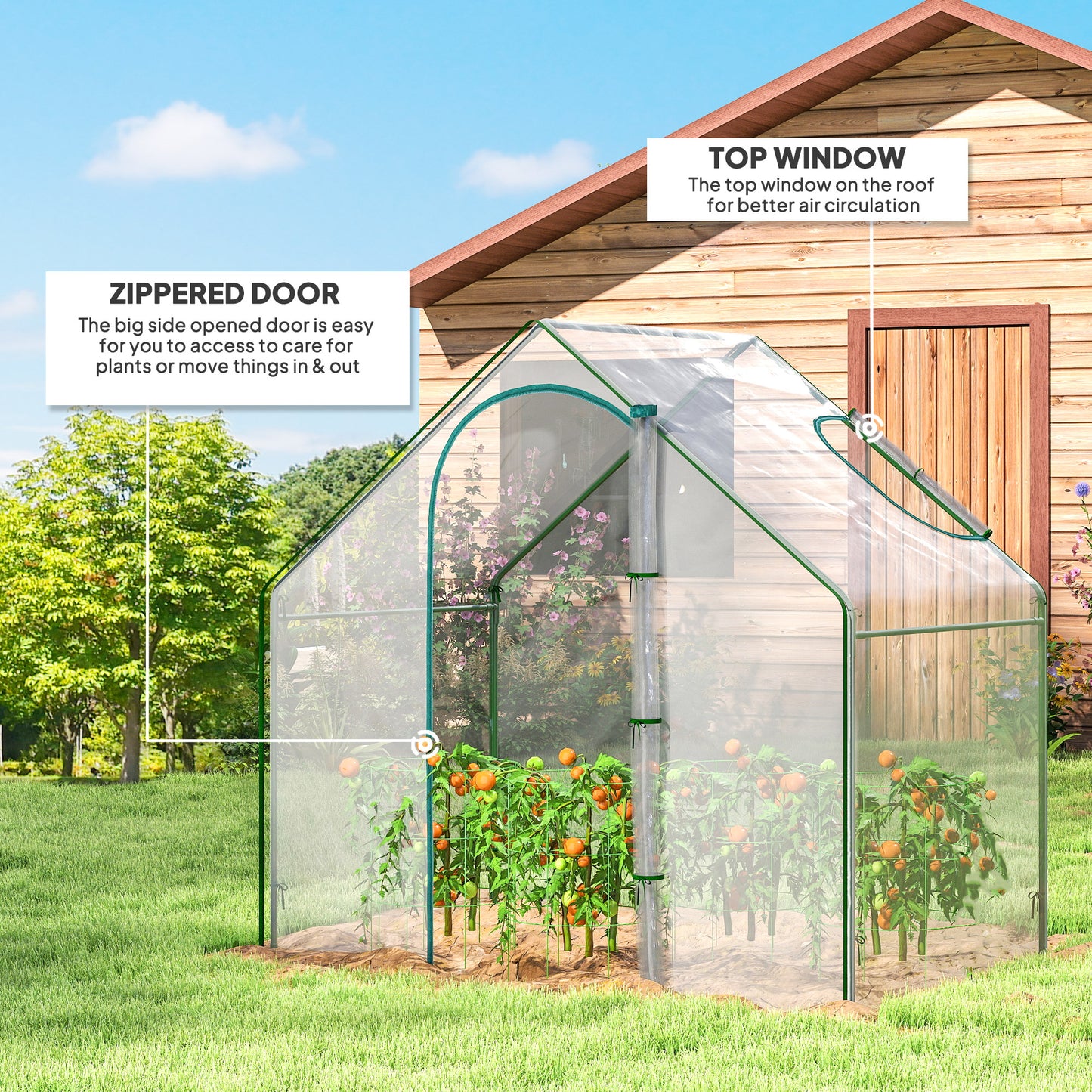 Walk In Tomato Greenhouse Garden Outdoor Mini Greenhouse Flower (1)