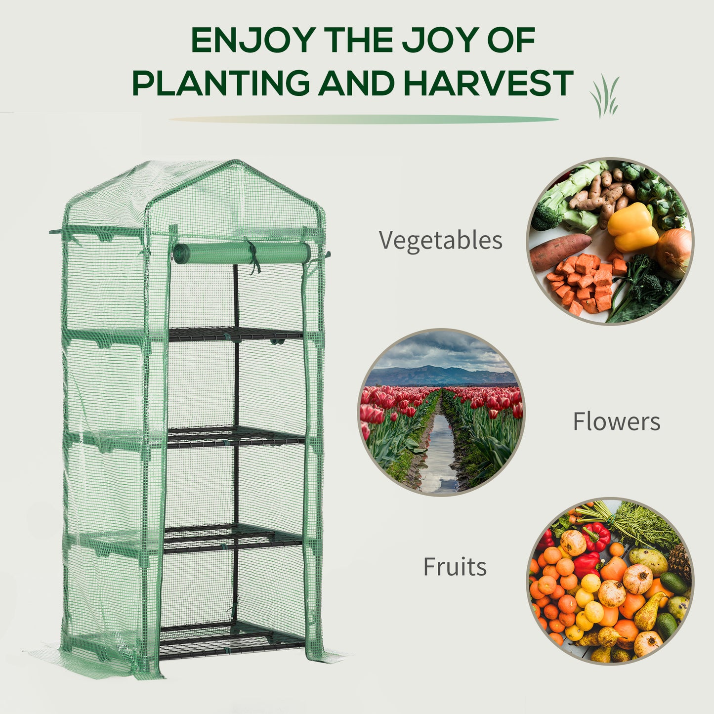 4 Tier Mini Greenhouse, Portable Compact Green House